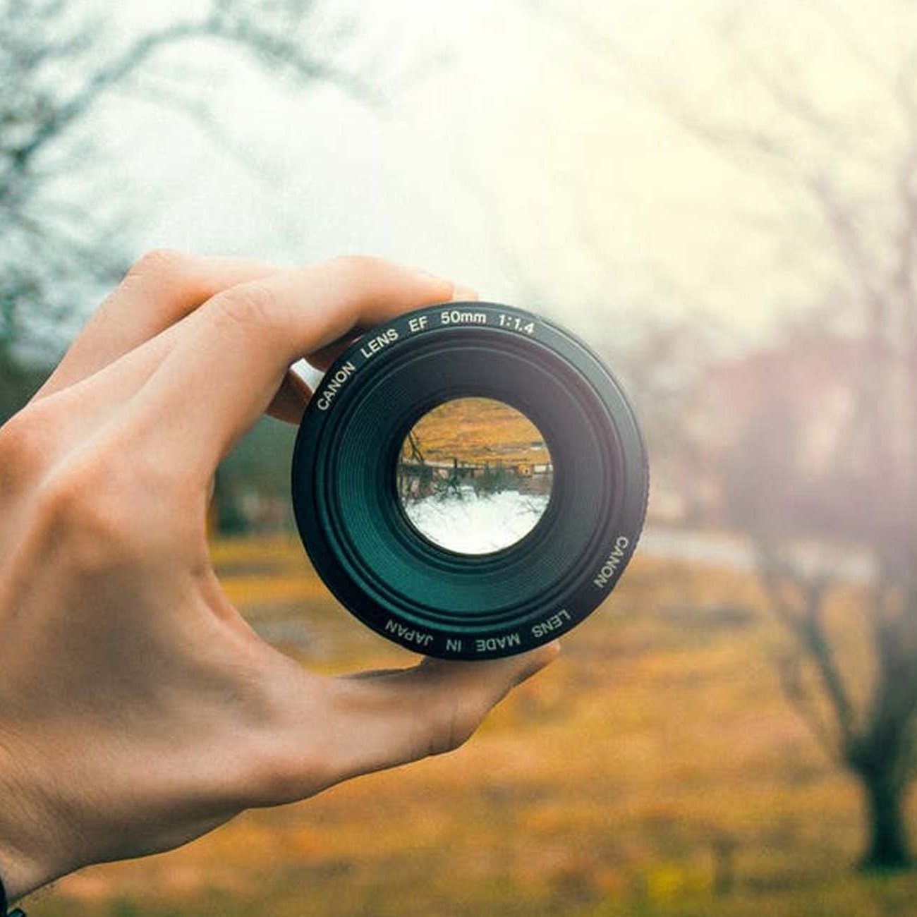 Therapeutic theme icon "The emotional lens of life", Akron therapists at Resilience Counseling