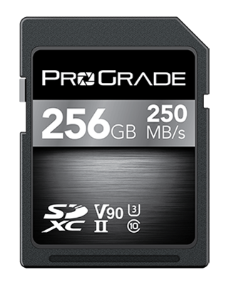ProGradeDigital_SDXCV90_256GB_transparent_949_1200.png