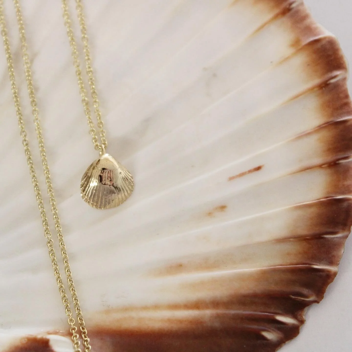 Gold Shell .jpg