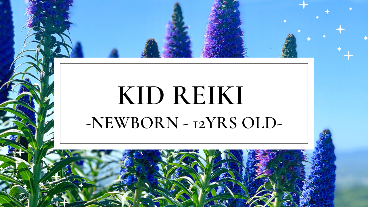 Kid Reiki Single Session.png