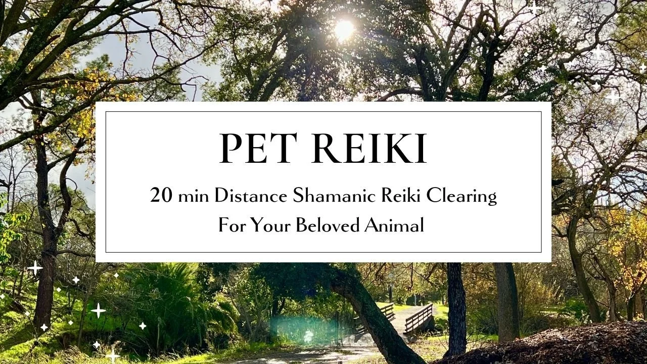 Pet reiki.jpg