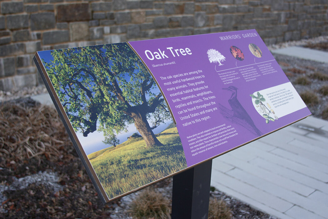 Warriors Garden - Oak Tree