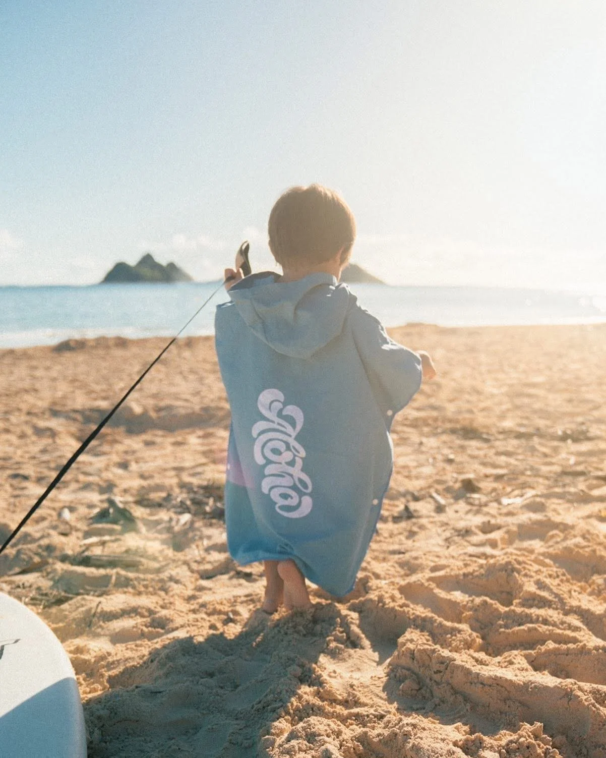 RHBHawaii-by Brian Daniel Moore 1.JPG