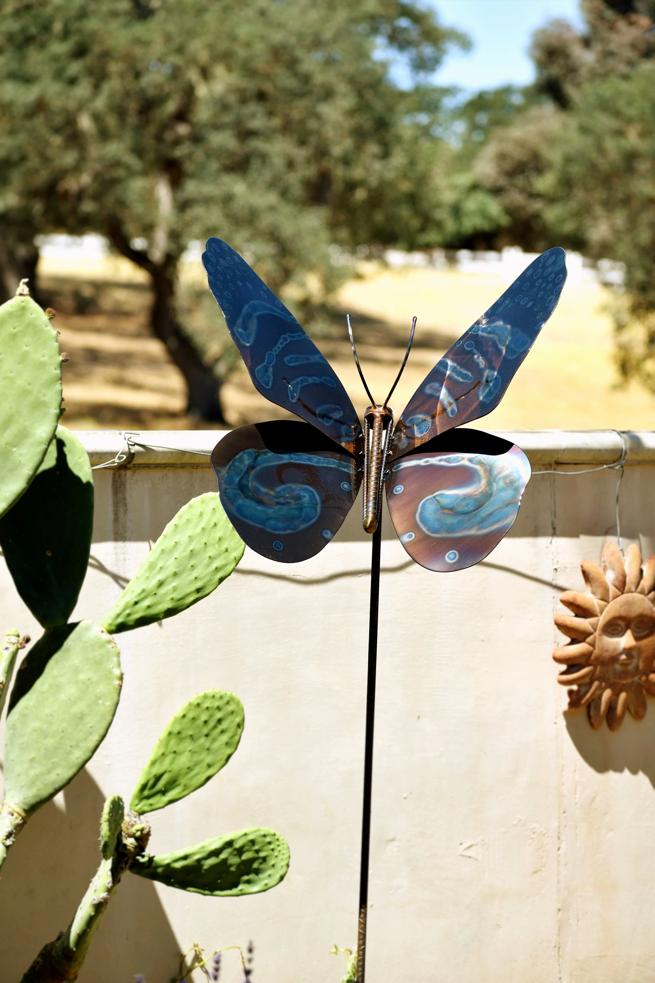 butterfly6.2.jpg