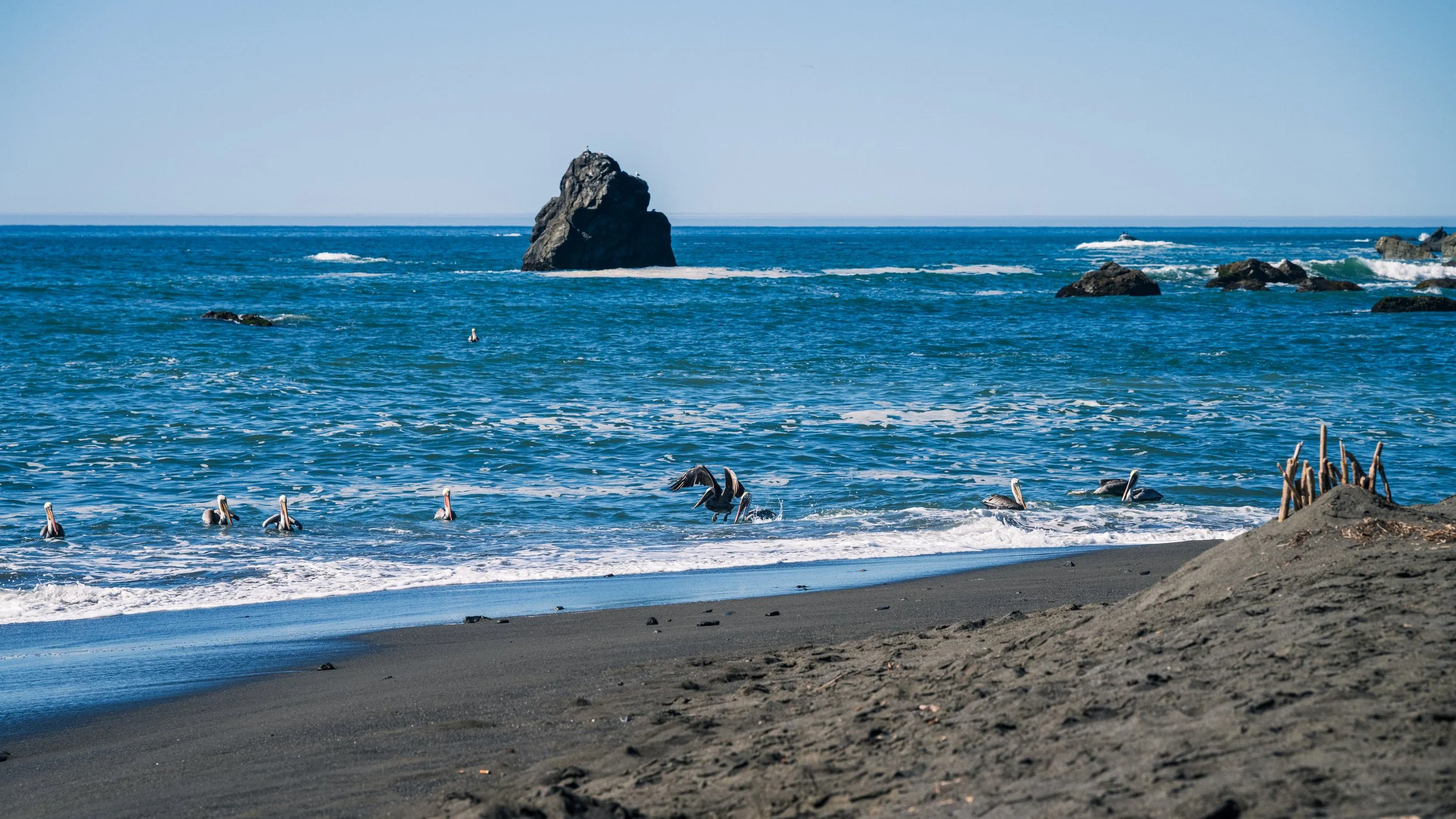 DT24-WestCoastp1 (22 of 101).jpg