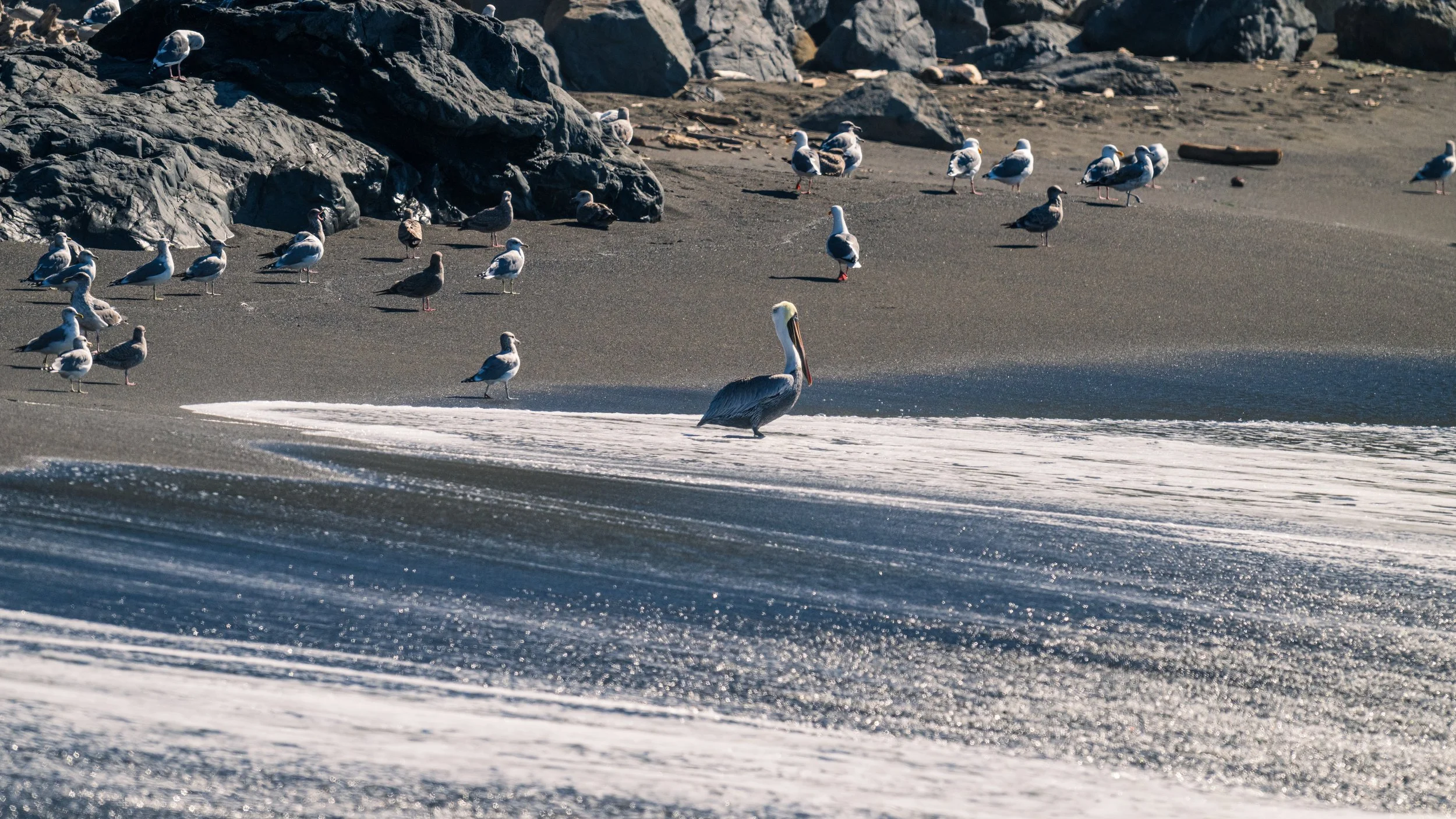 DT24-WestCoastp1 (33 of 101).jpg