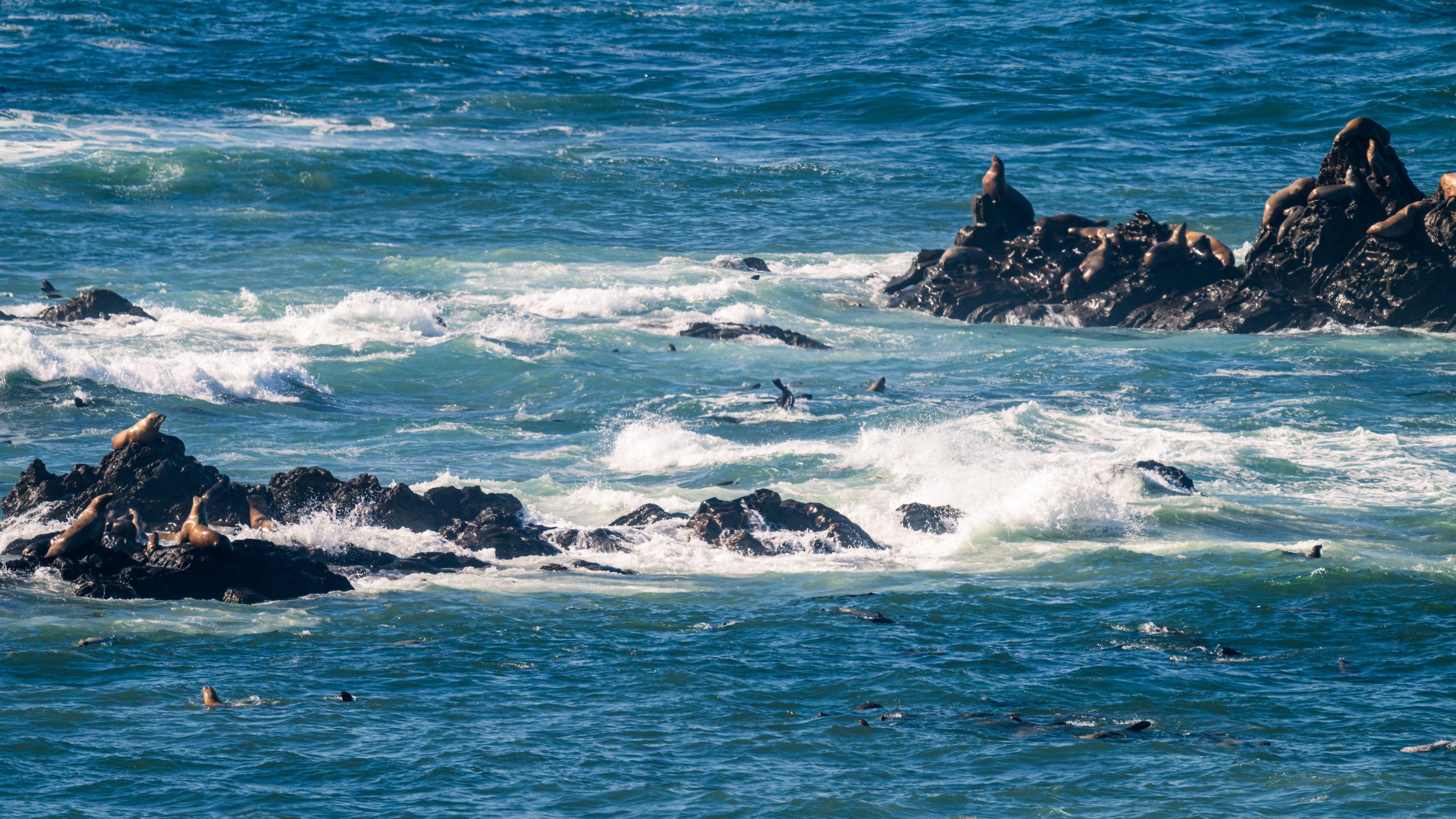 DT24 (35 of 115).jpg