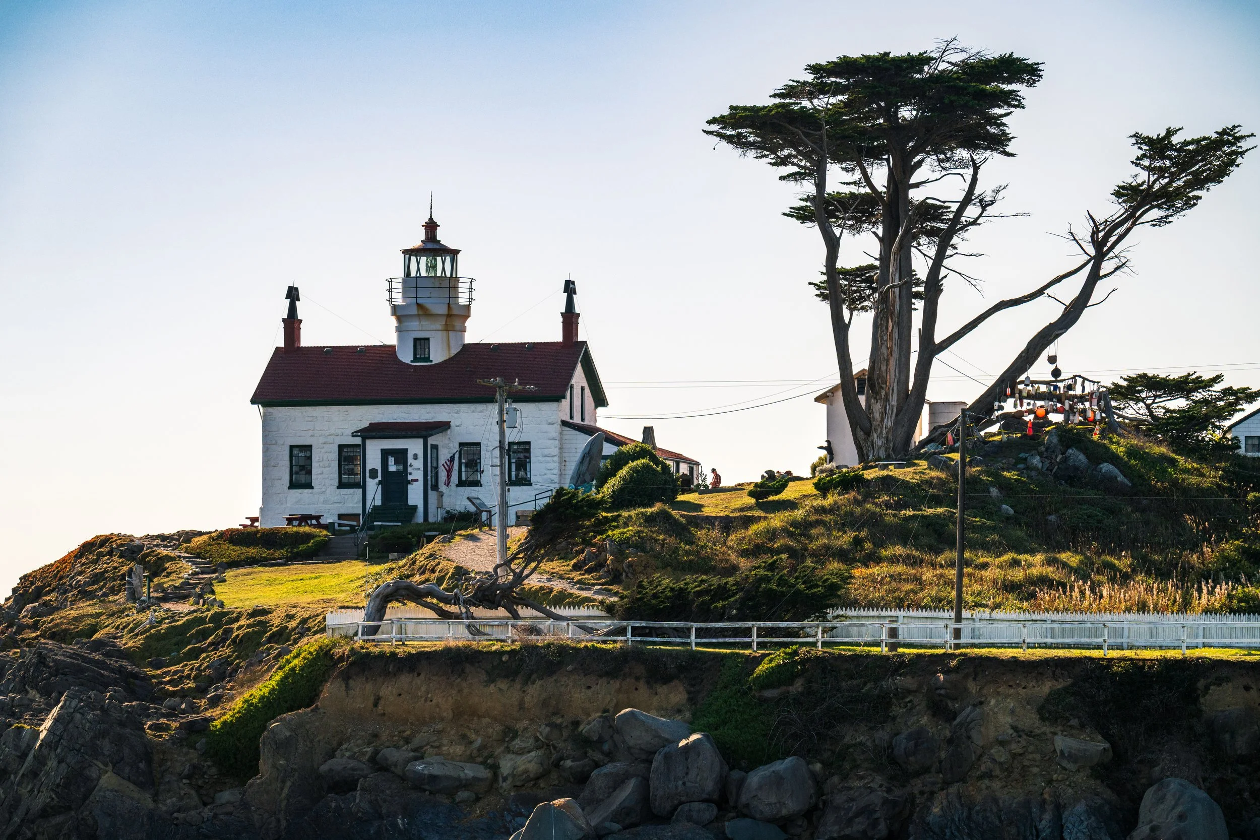 DT24-WestCoastp1 (56 of 101).jpg