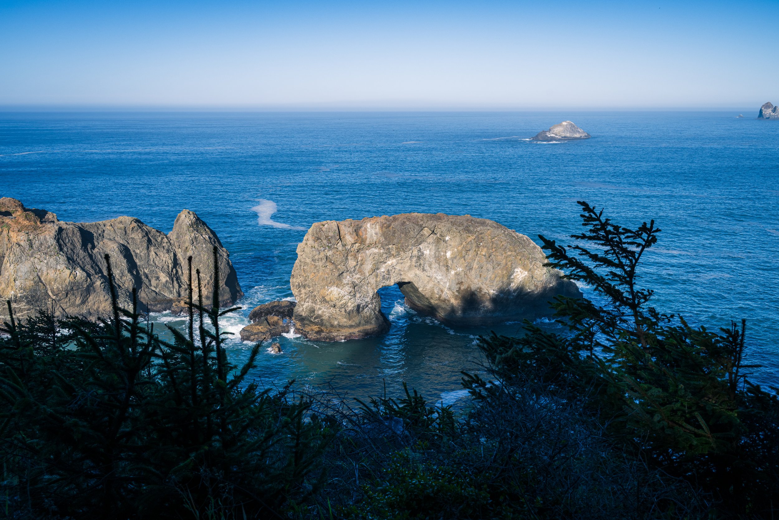 DT24-WestCoastp1 (89 of 101).jpg