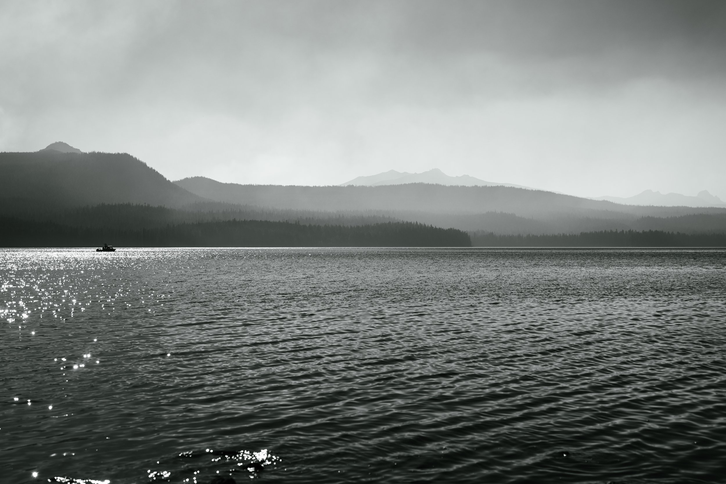 DT24-WestCoastp1 (7 of 101).jpg