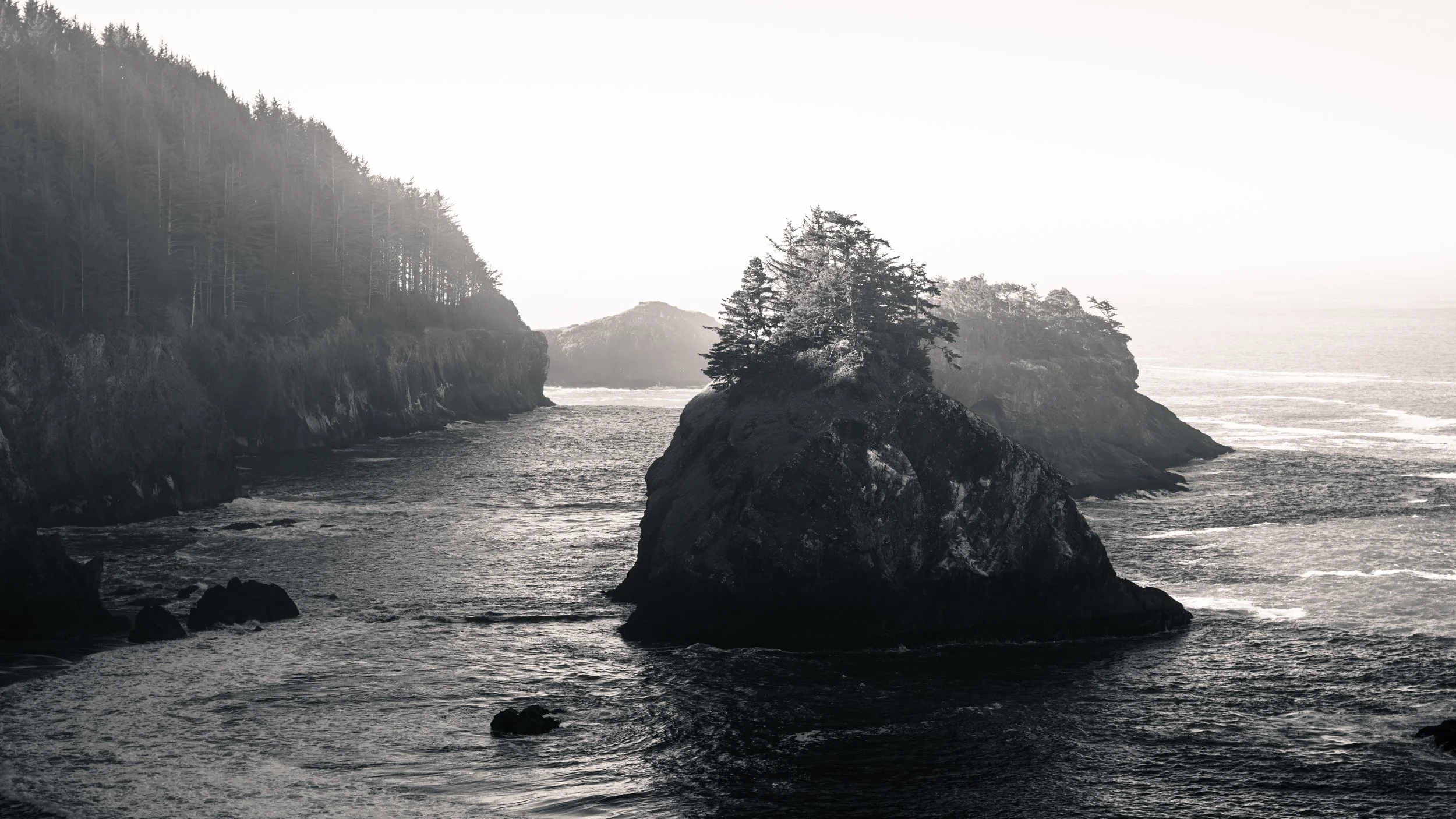 DT24-WestCoastp1 (101 of 101).jpg