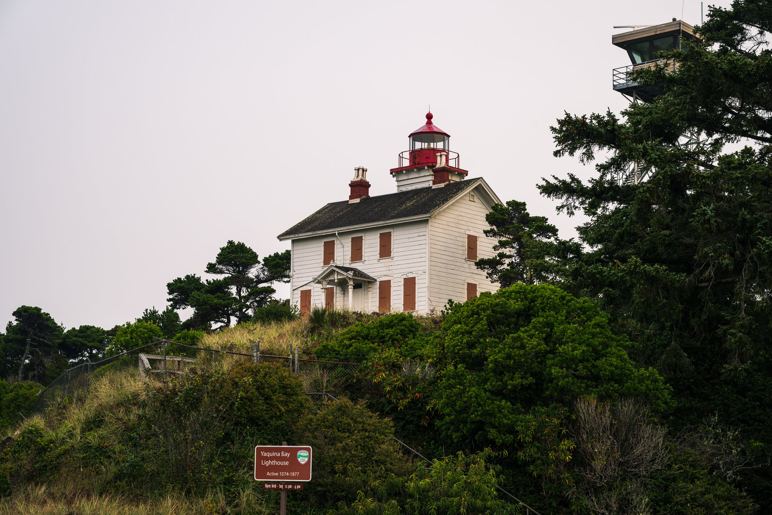 DT24 (41 of 114).jpg