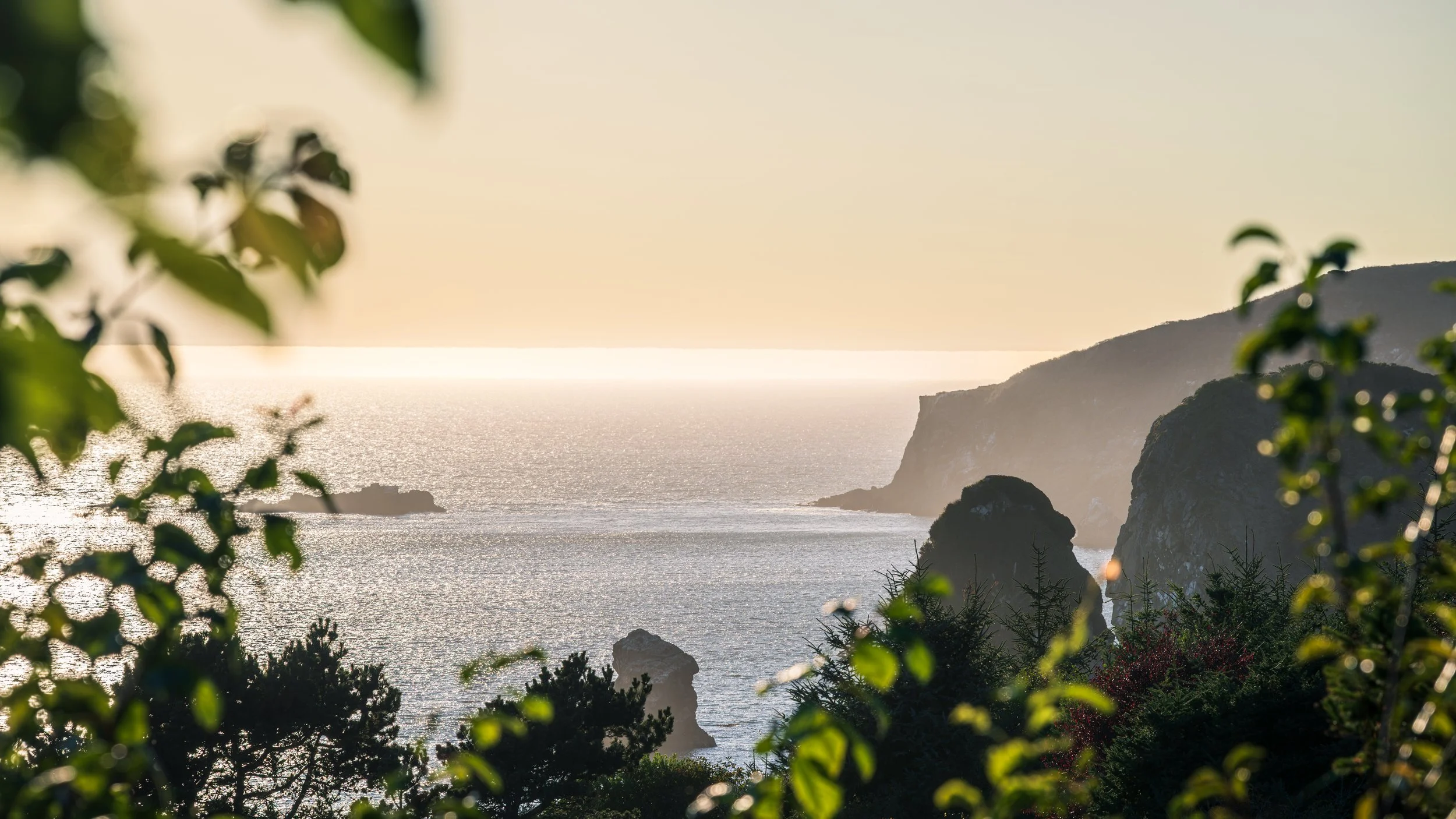 DT24-WestCoastp1 (82 of 101).jpg