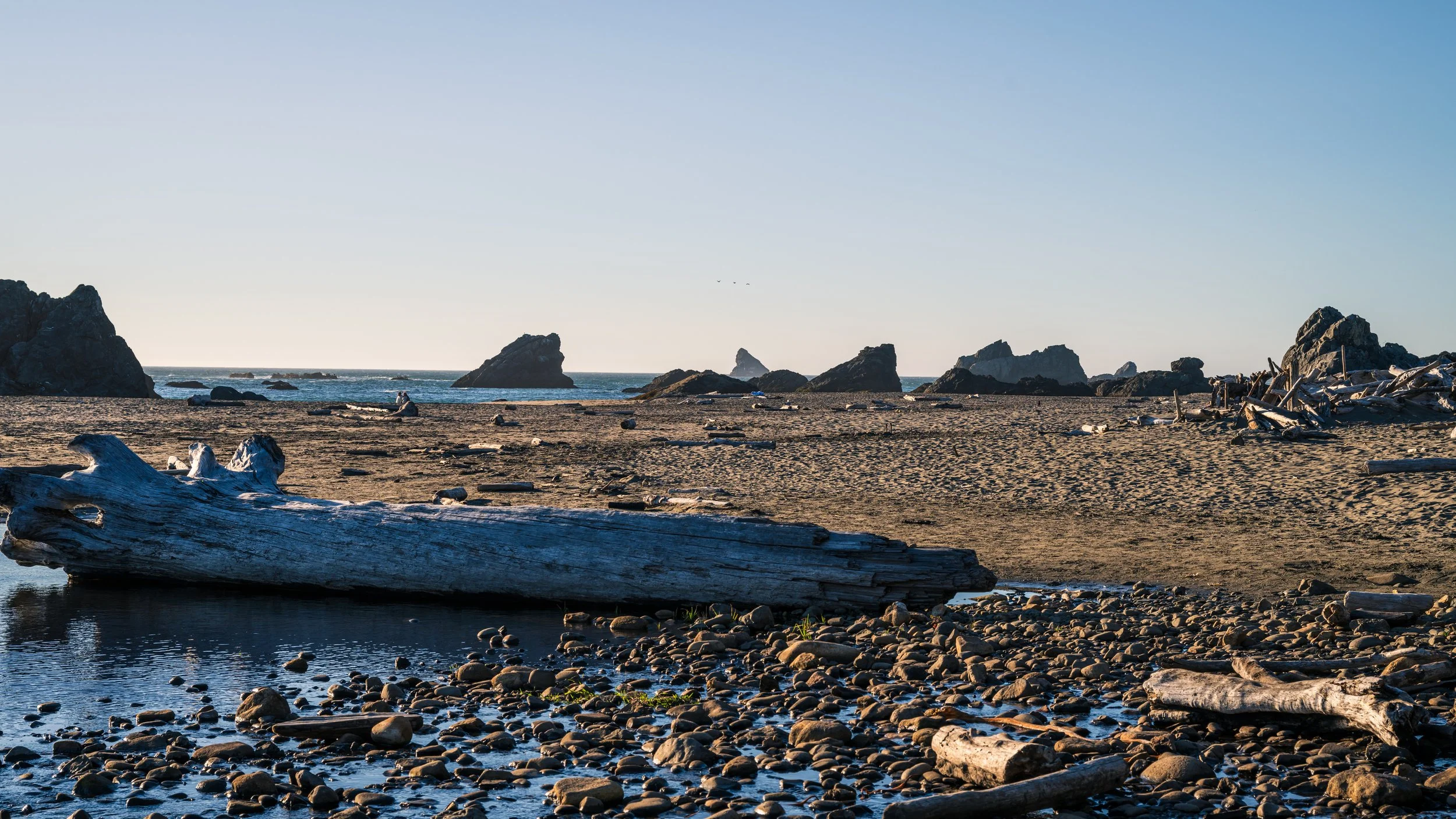 DT24-WestCoastp1 (62 of 101).jpg