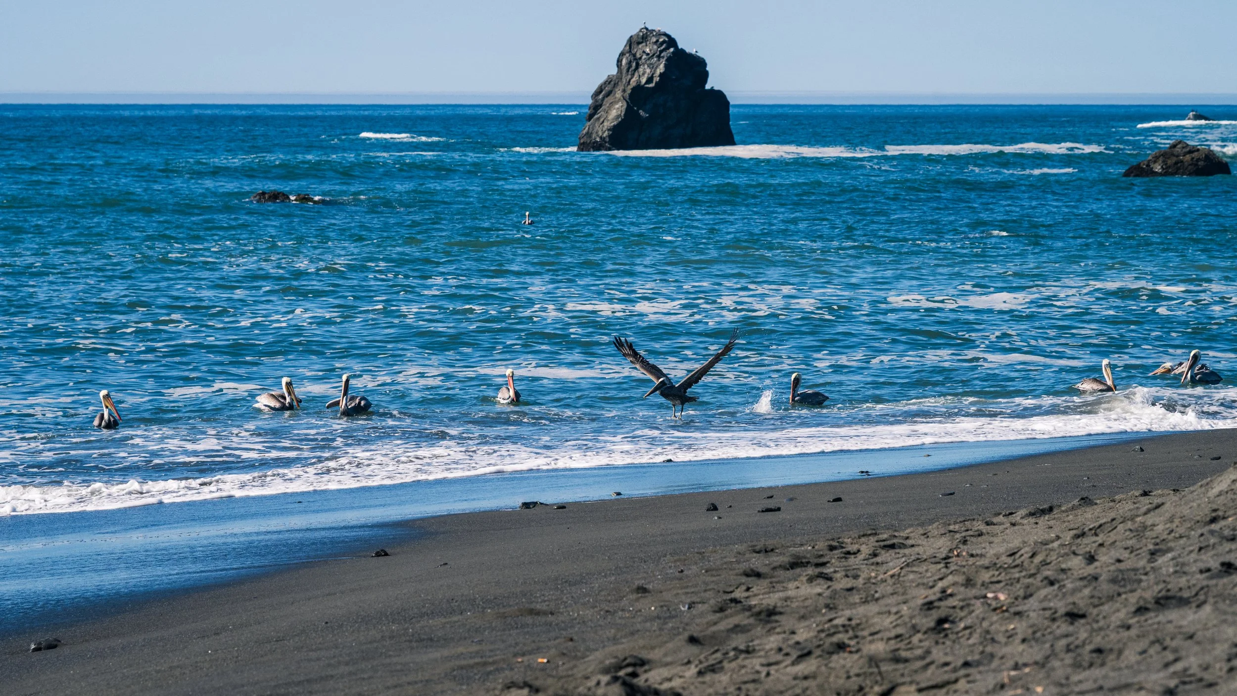 DT24-WestCoastp1 (24 of 101).jpg