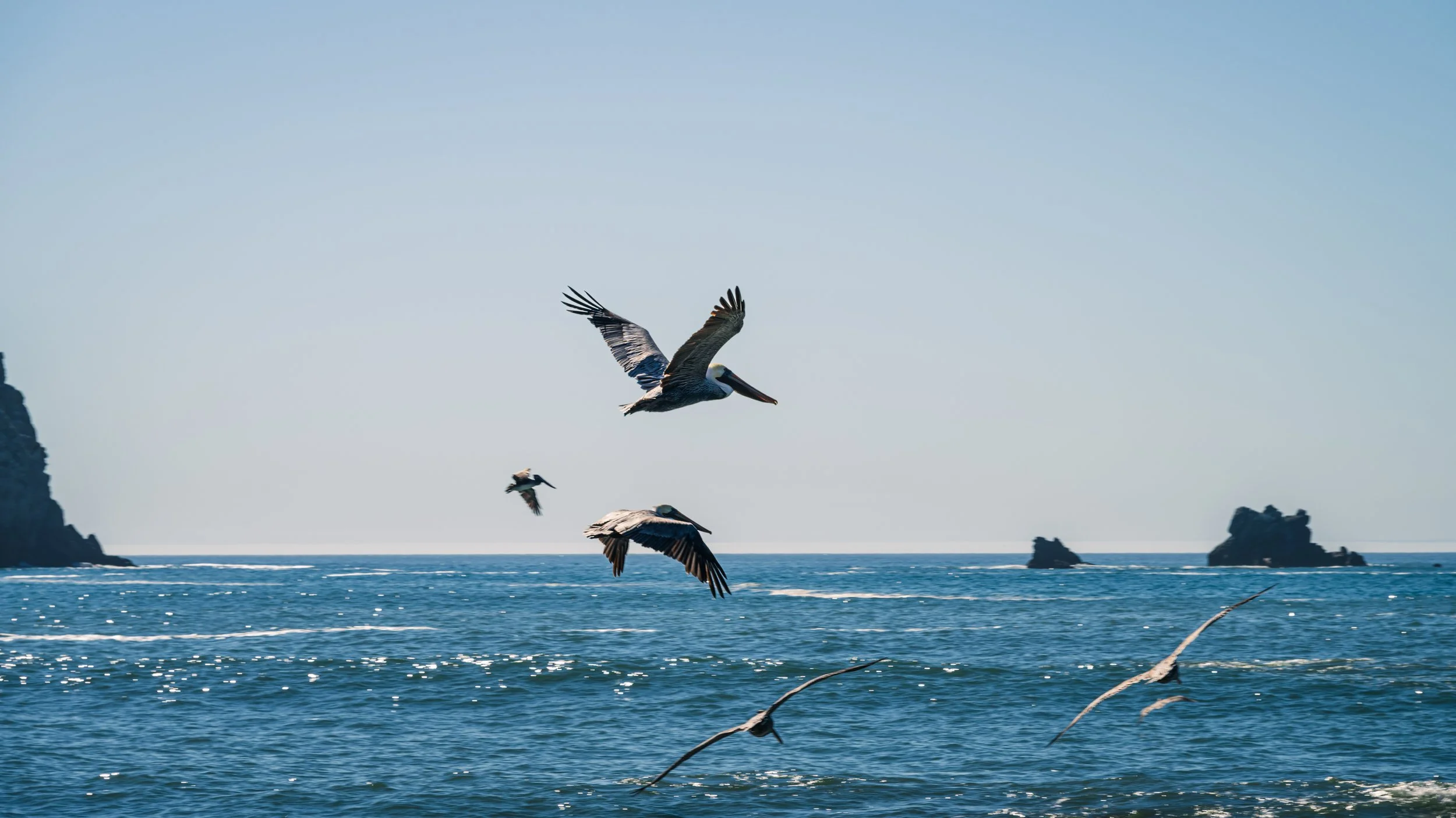 DT24-WestCoastp1 (19 of 101).jpg