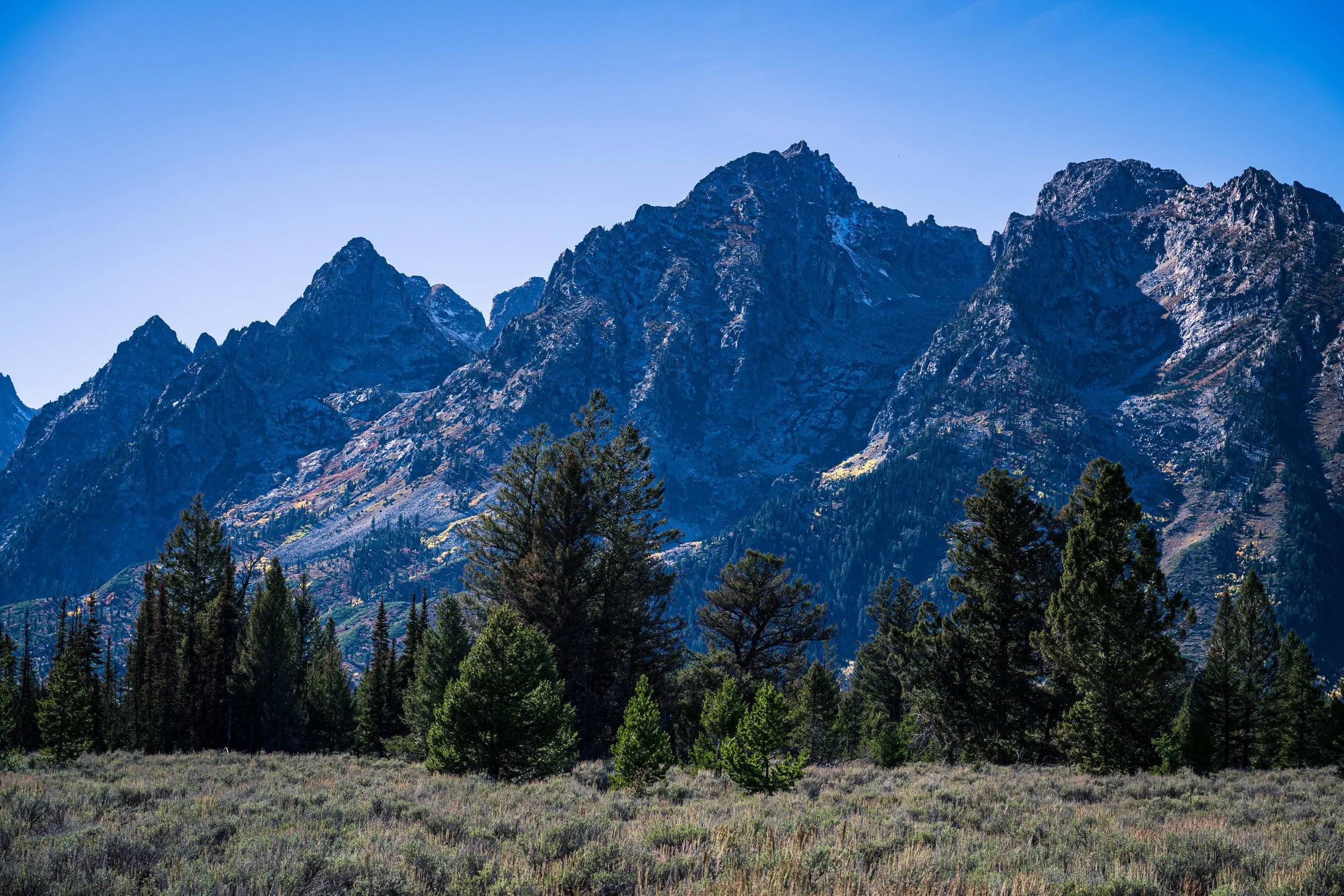DT24-Teton (12 of 40).jpg