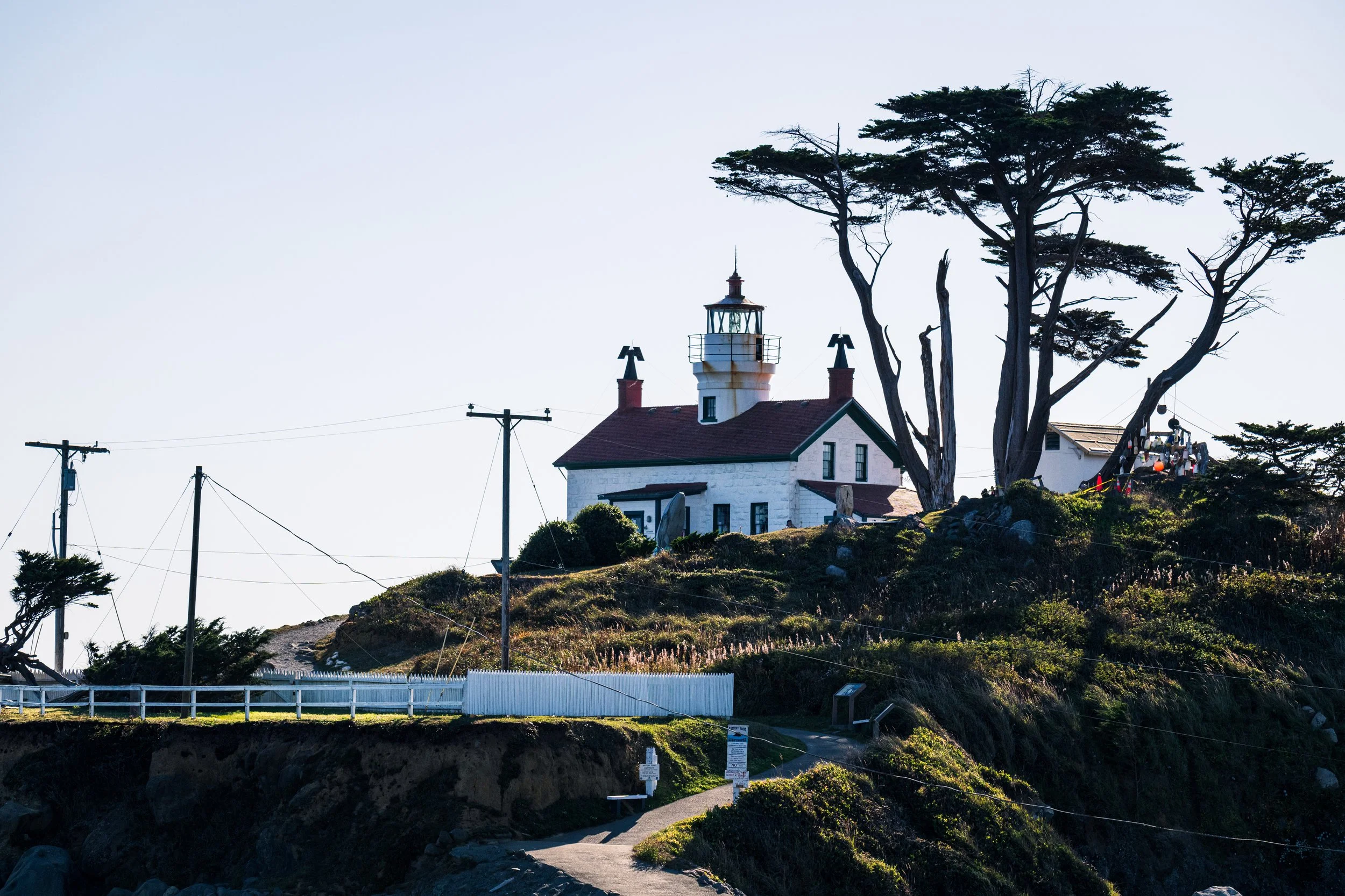 DT24-WestCoastp1 (52 of 101).jpg