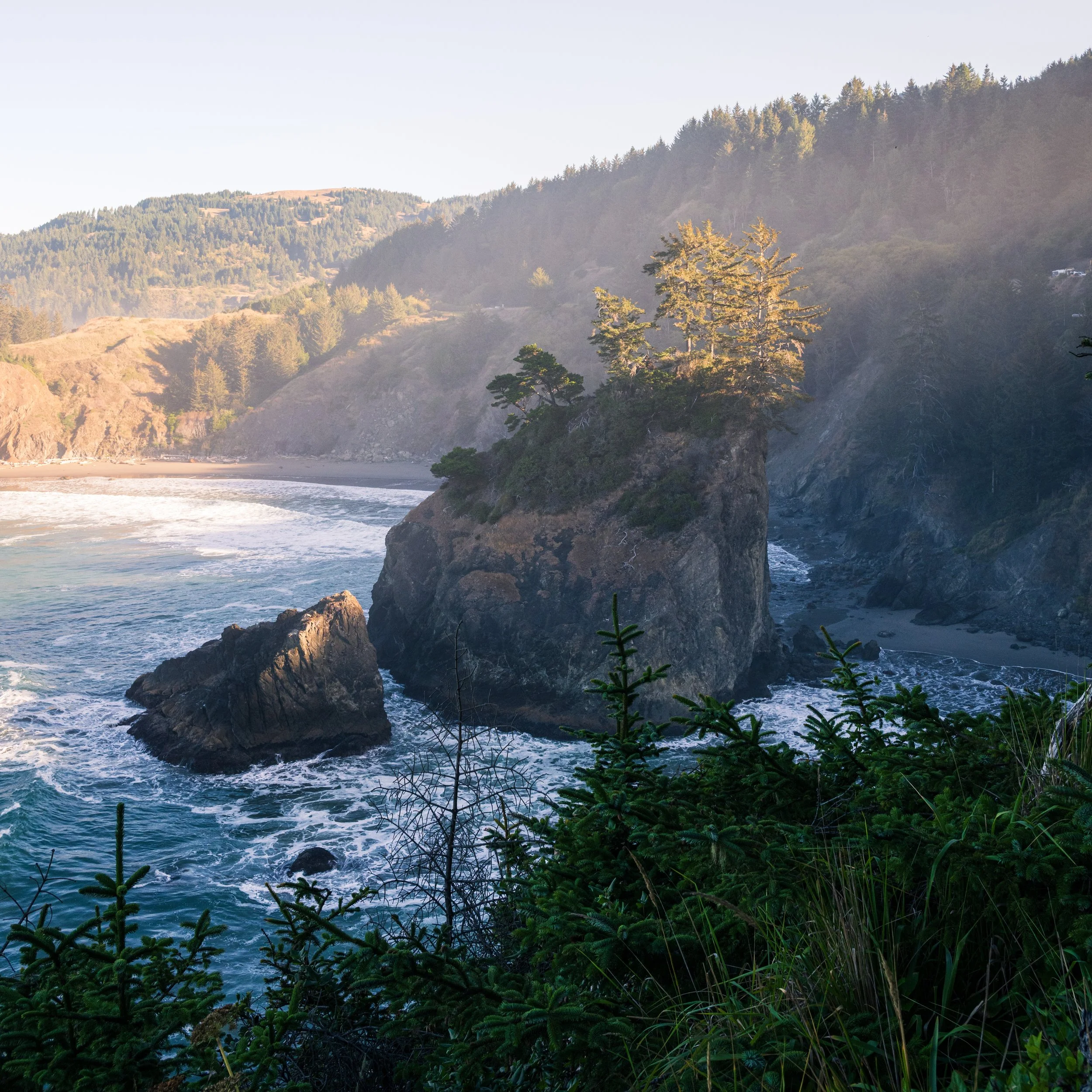 DT24-WestCoastp1 (97 of 101).jpg