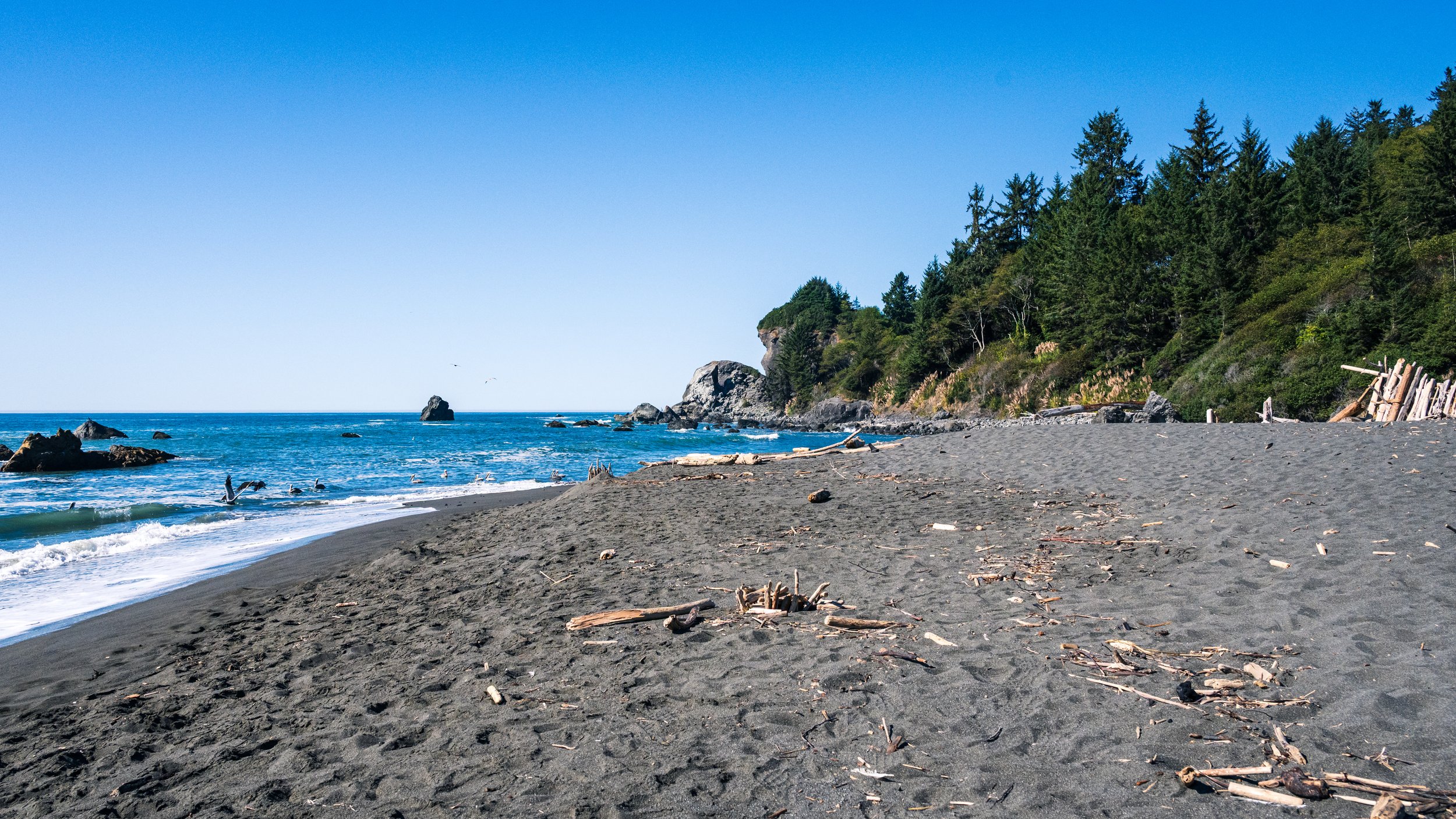 DT24-WestCoastp1 (20 of 101).jpg