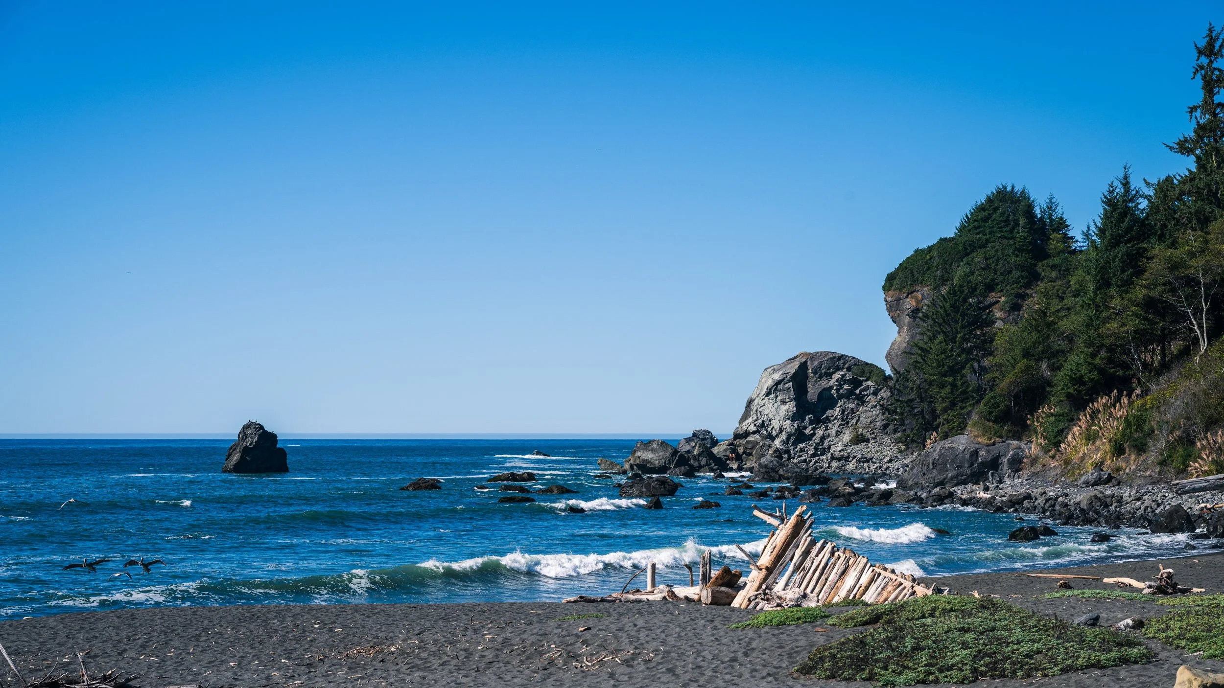 DT24-WestCoastp1 (14 of 101).jpg