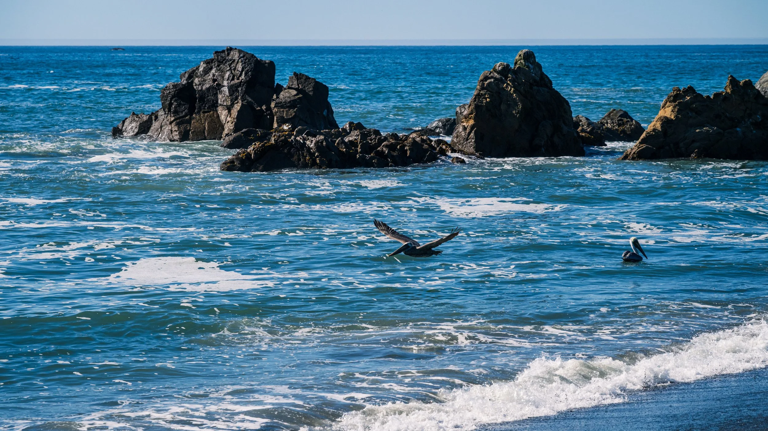 DT24-WestCoastp1 (27 of 101).jpg