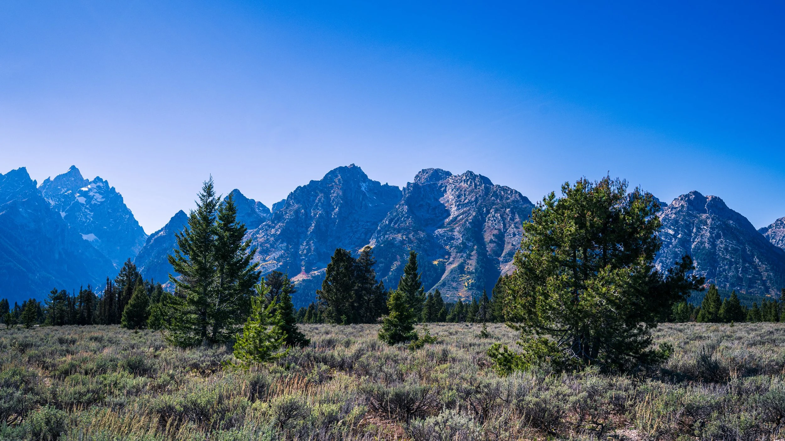 DT24-Teton (7 of 40).jpg