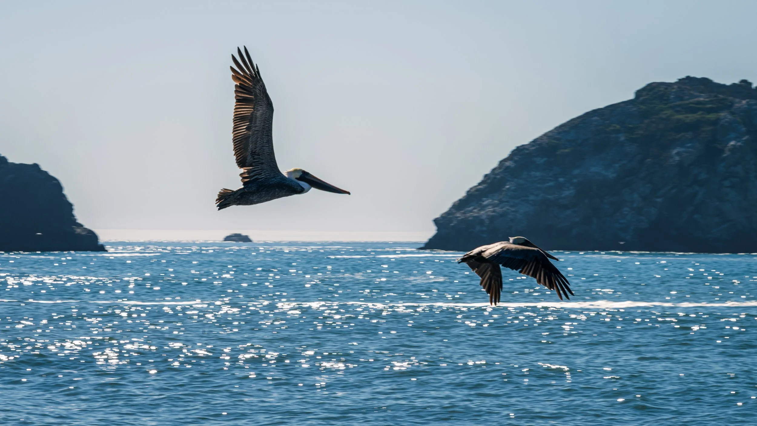 DT24-WestCoastp1 (18 of 101).jpg