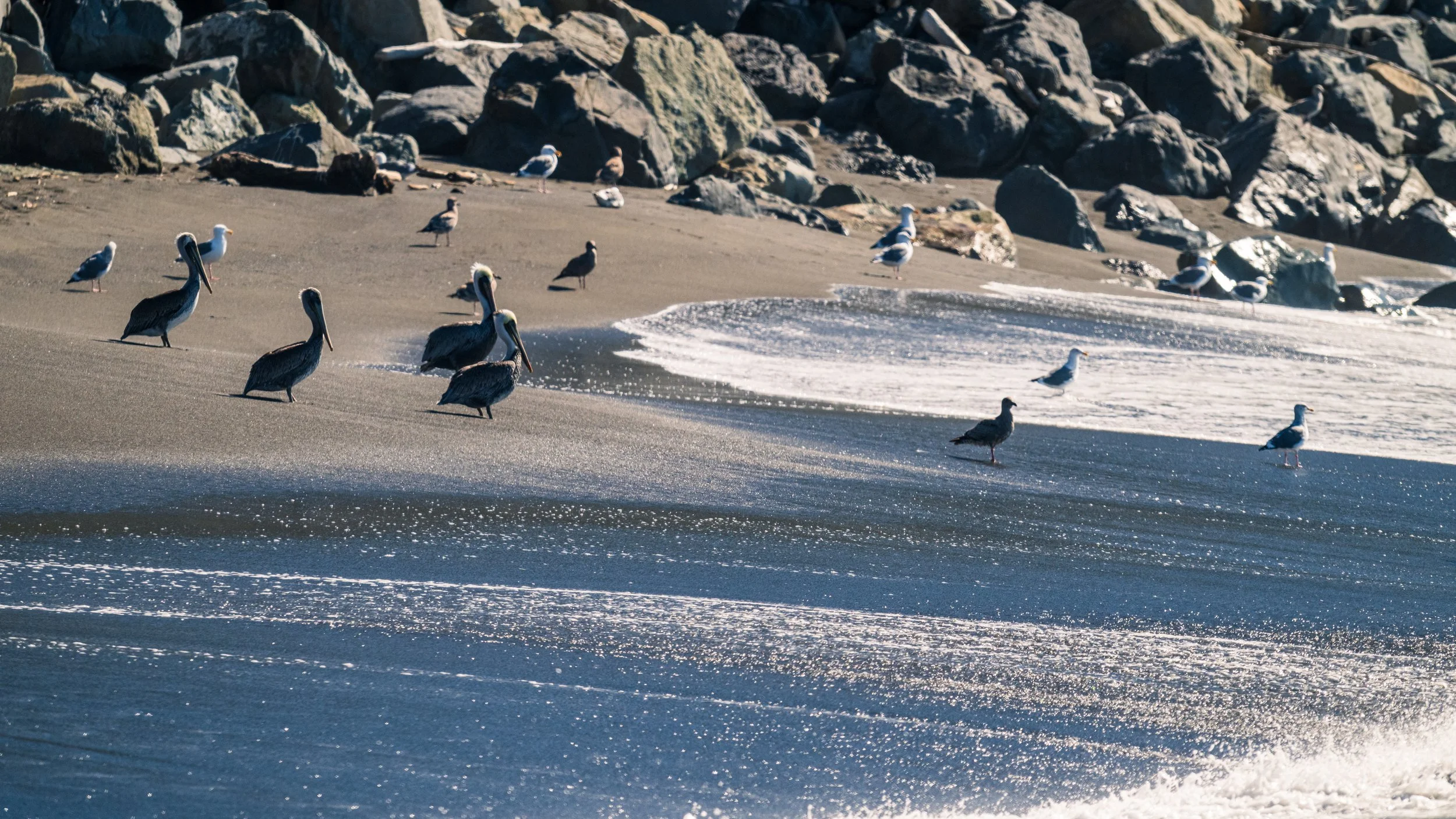 DT24-WestCoastp1 (35 of 101).jpg