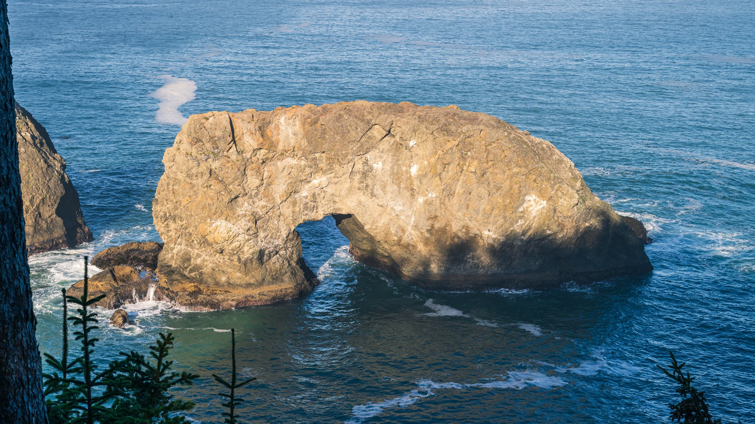 DT24-WestCoastp1 (95 of 101).jpg