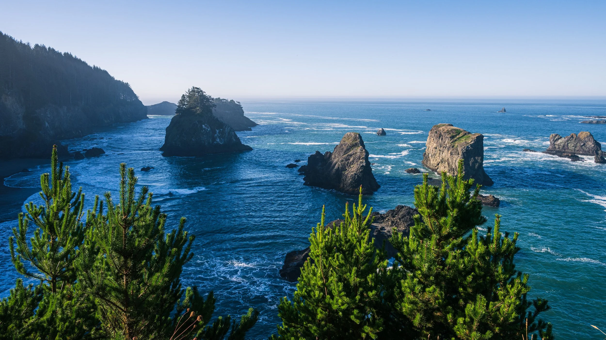 DT24-WestCoastp1 (98 of 101).jpg