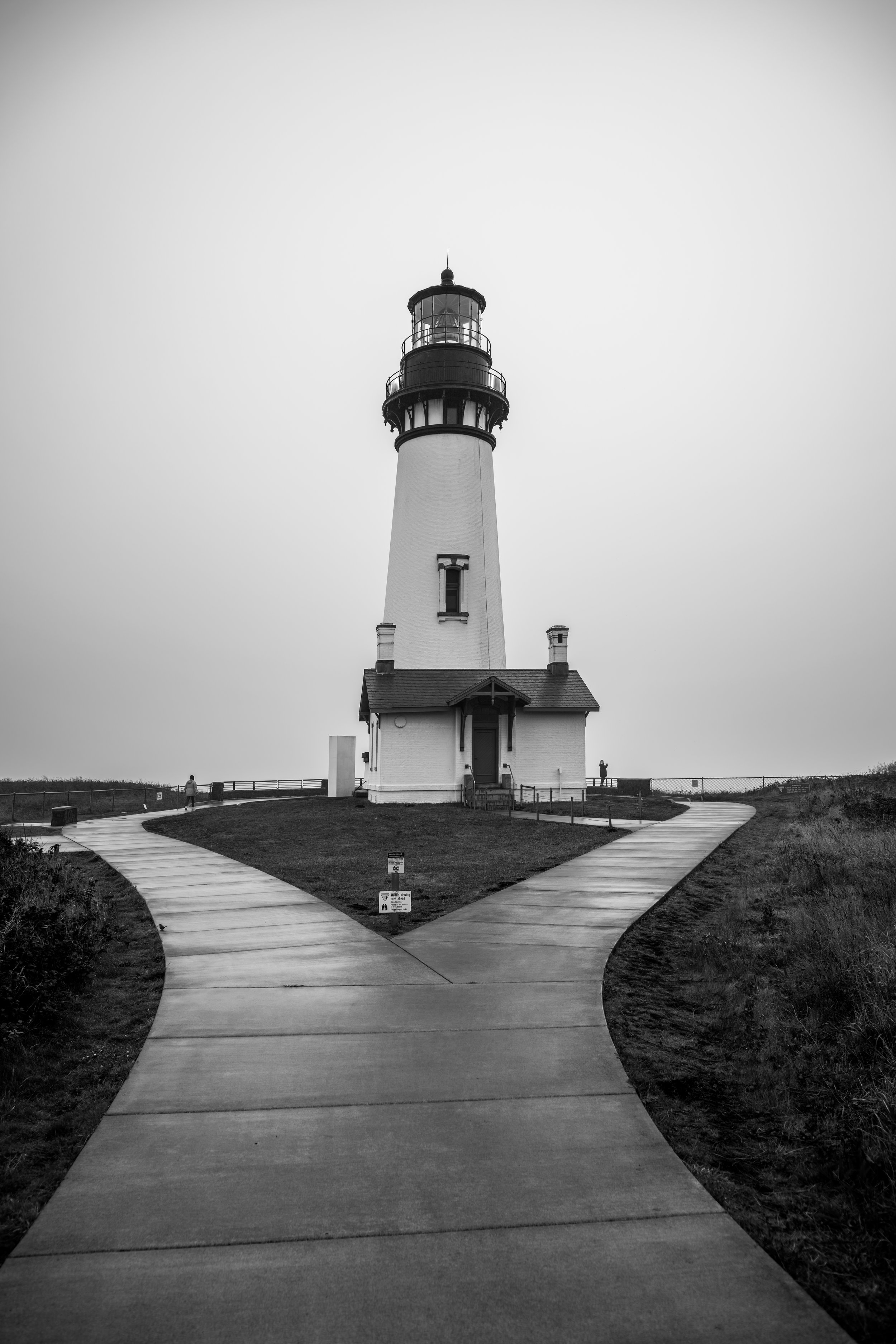 DT24 (80 of 114).jpg