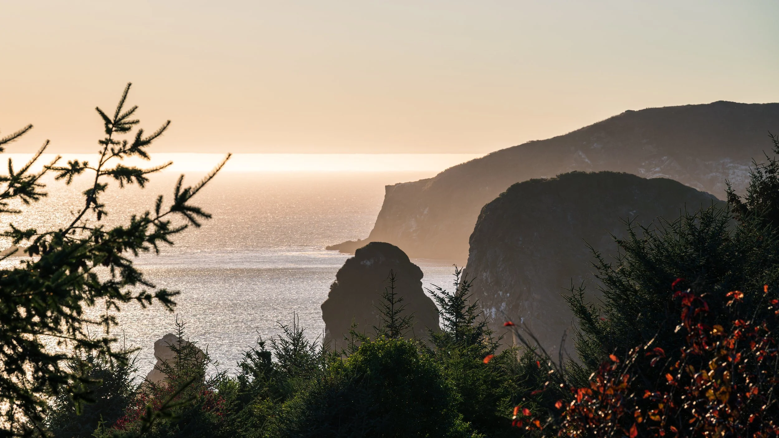 DT24-WestCoastp1 (81 of 101).jpg