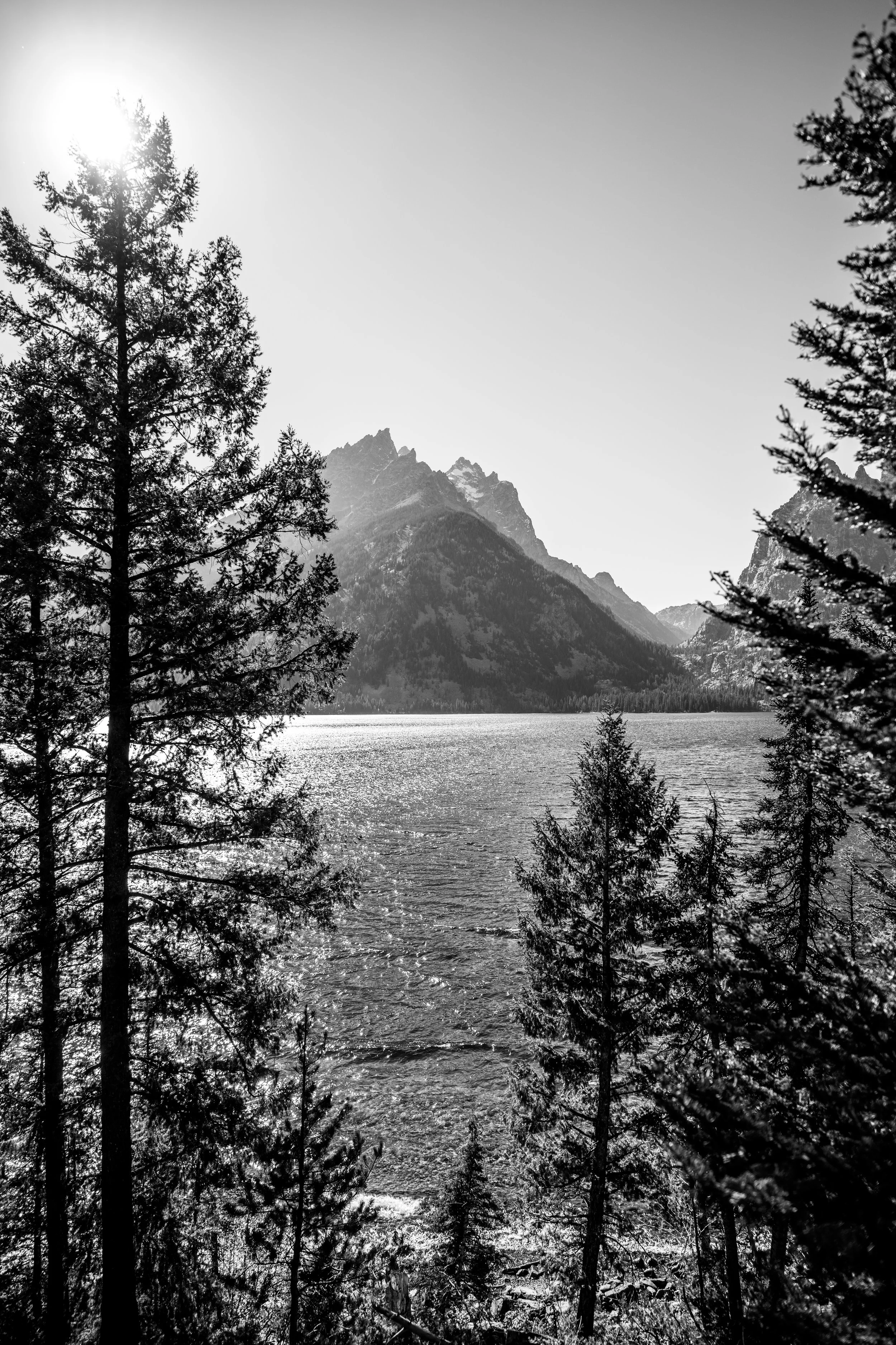DT24-Teton (35 of 40).jpg