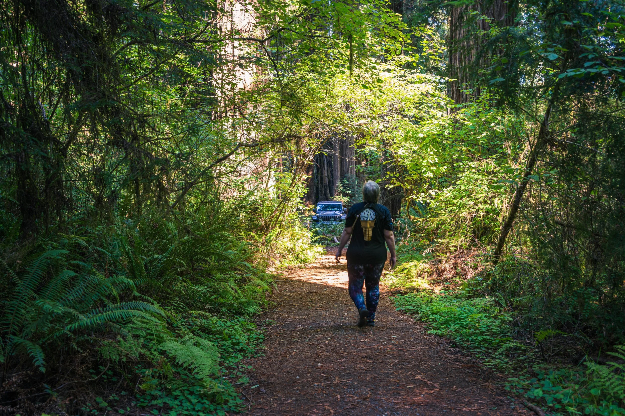 DT24-Redwoods (9 of 10).jpg