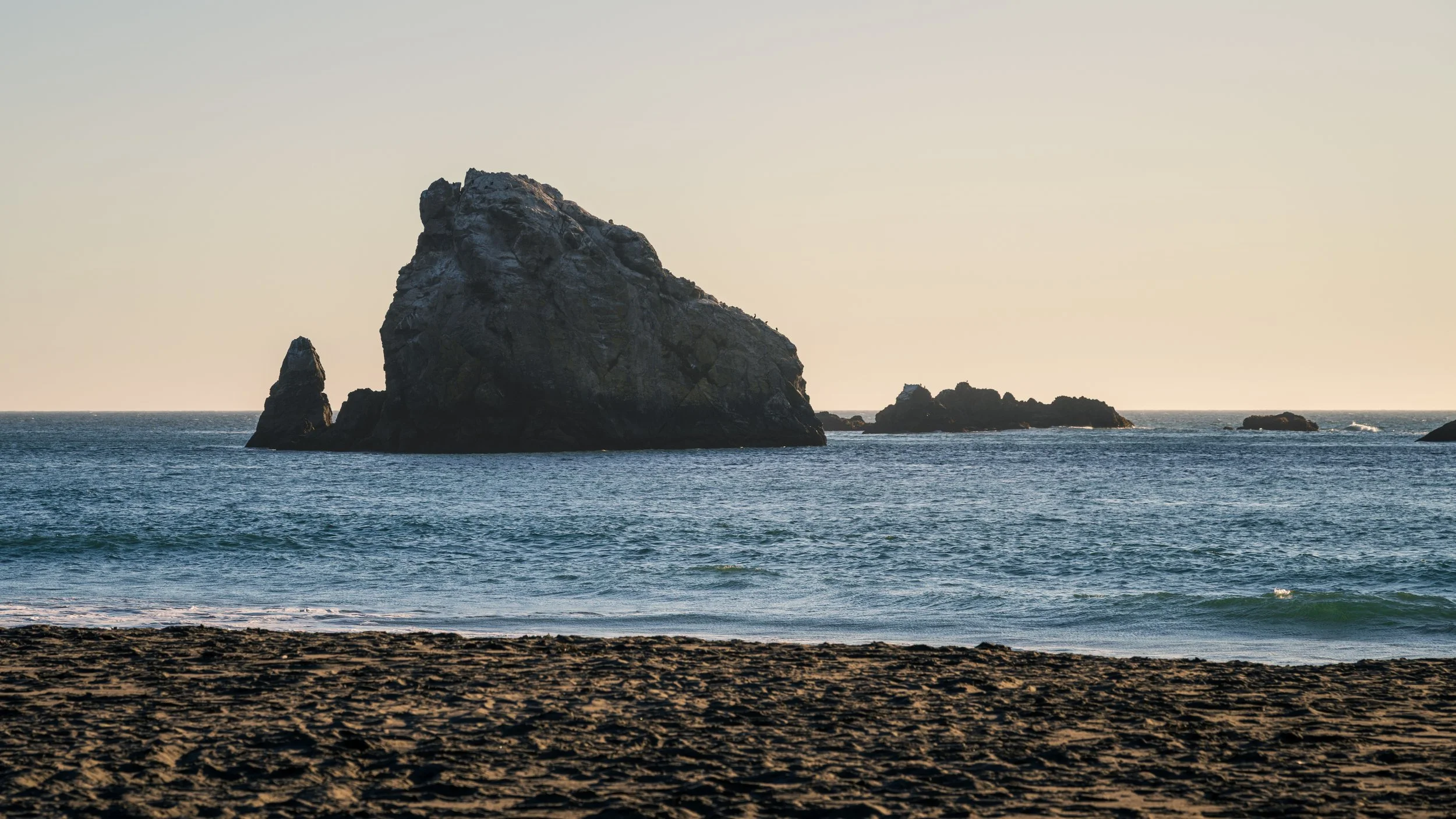 DT24-WestCoastp1 (64 of 101).jpg