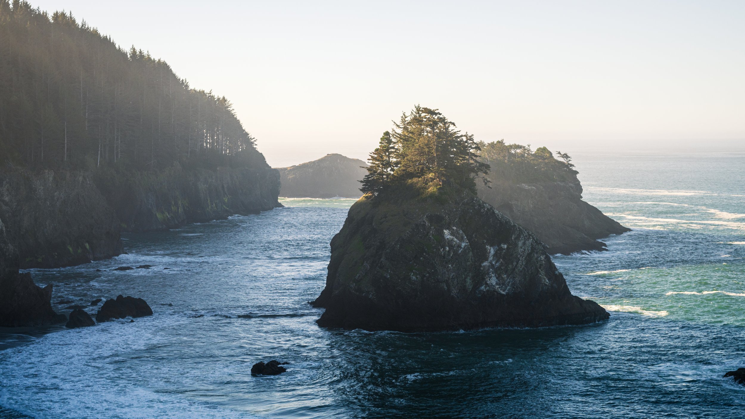 DT24-WestCoastp1 (100 of 101).jpg