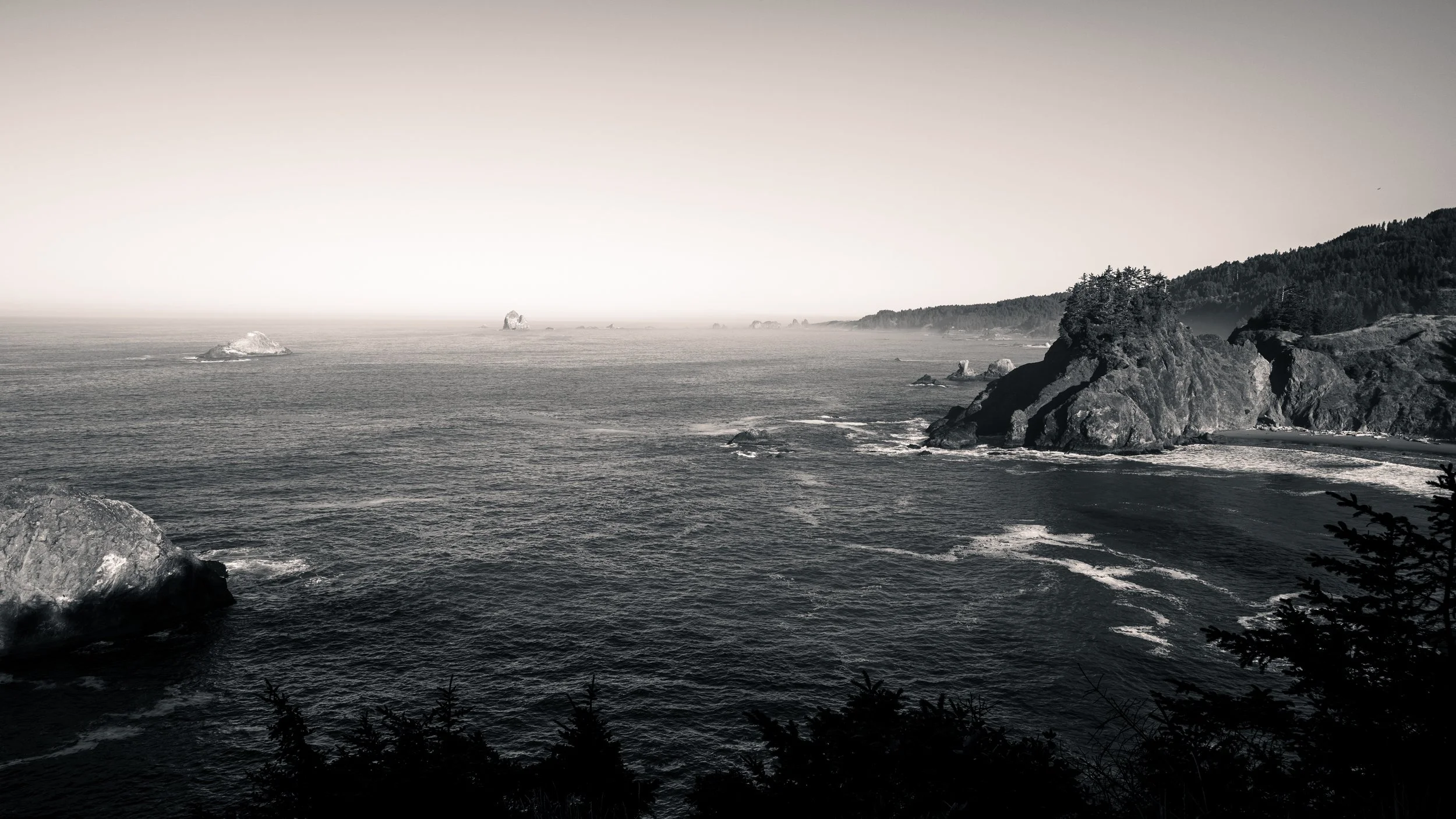 DT24-WestCoastp1 (94 of 101).jpg