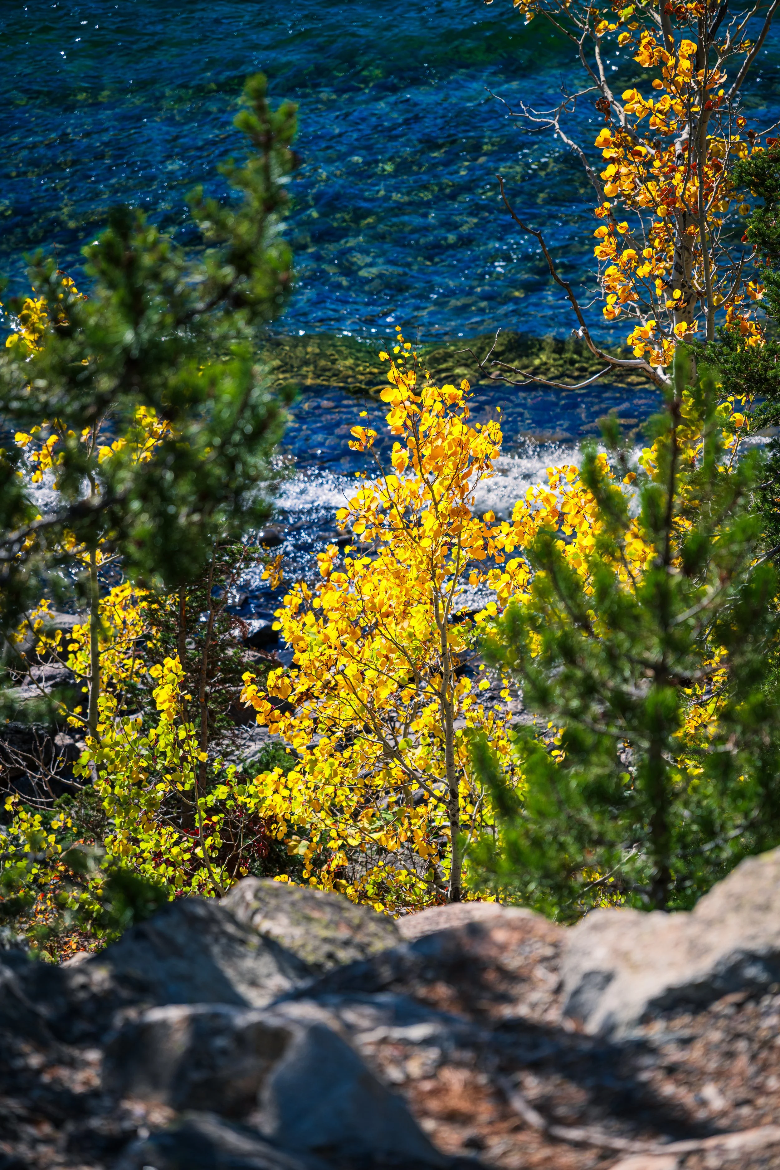 DT24-Teton (34 of 40).jpg