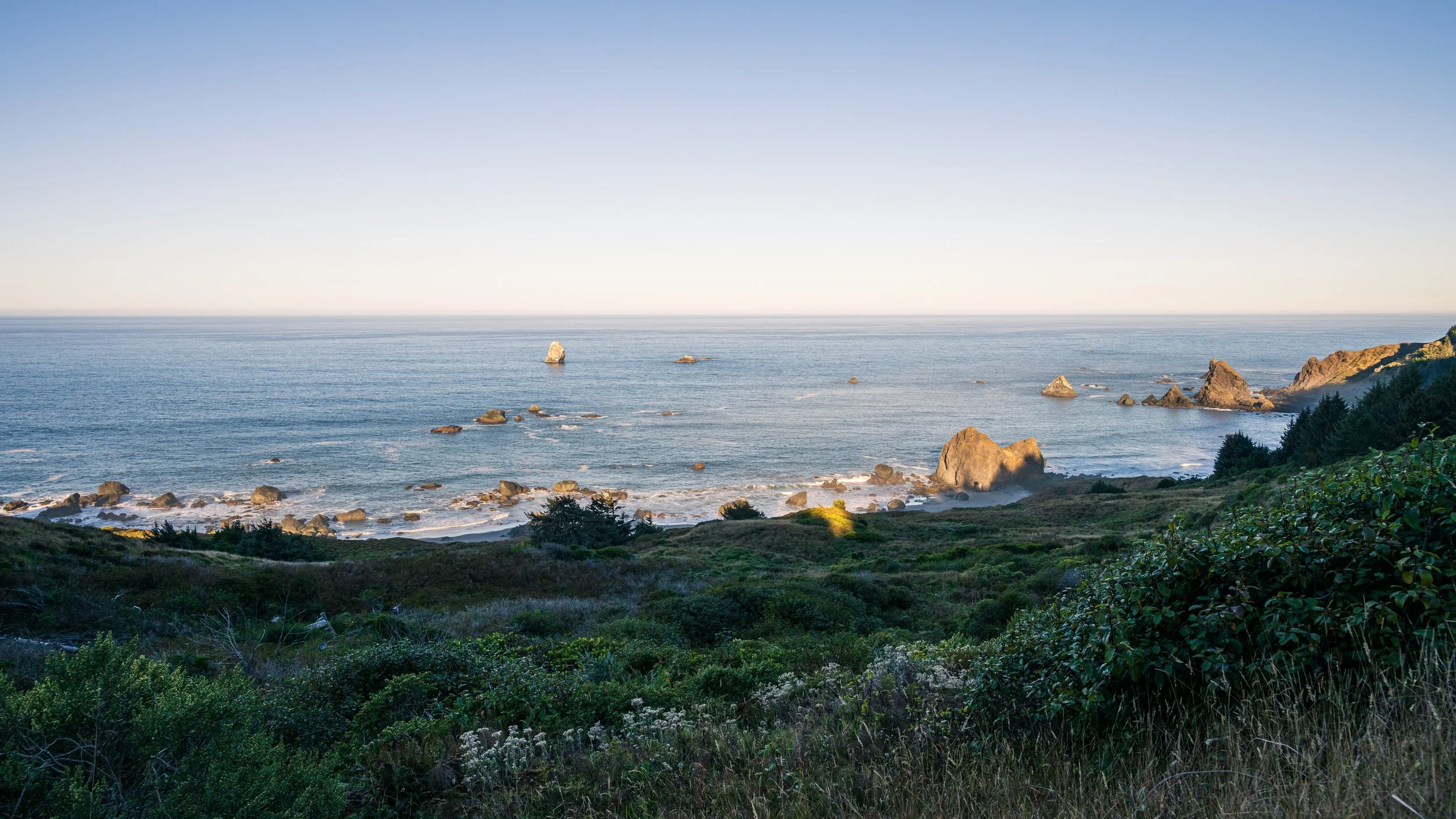 DT24-WestCoastp1 (85 of 101).jpg