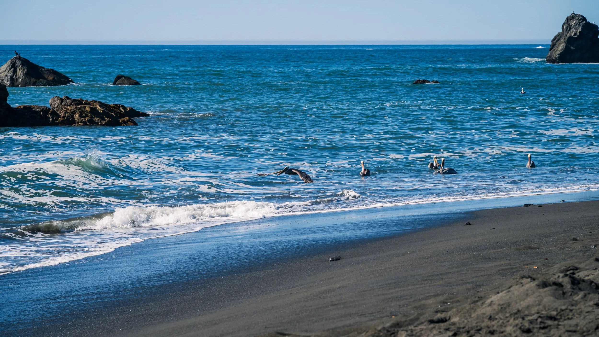 DT24-WestCoastp1 (26 of 101).jpg