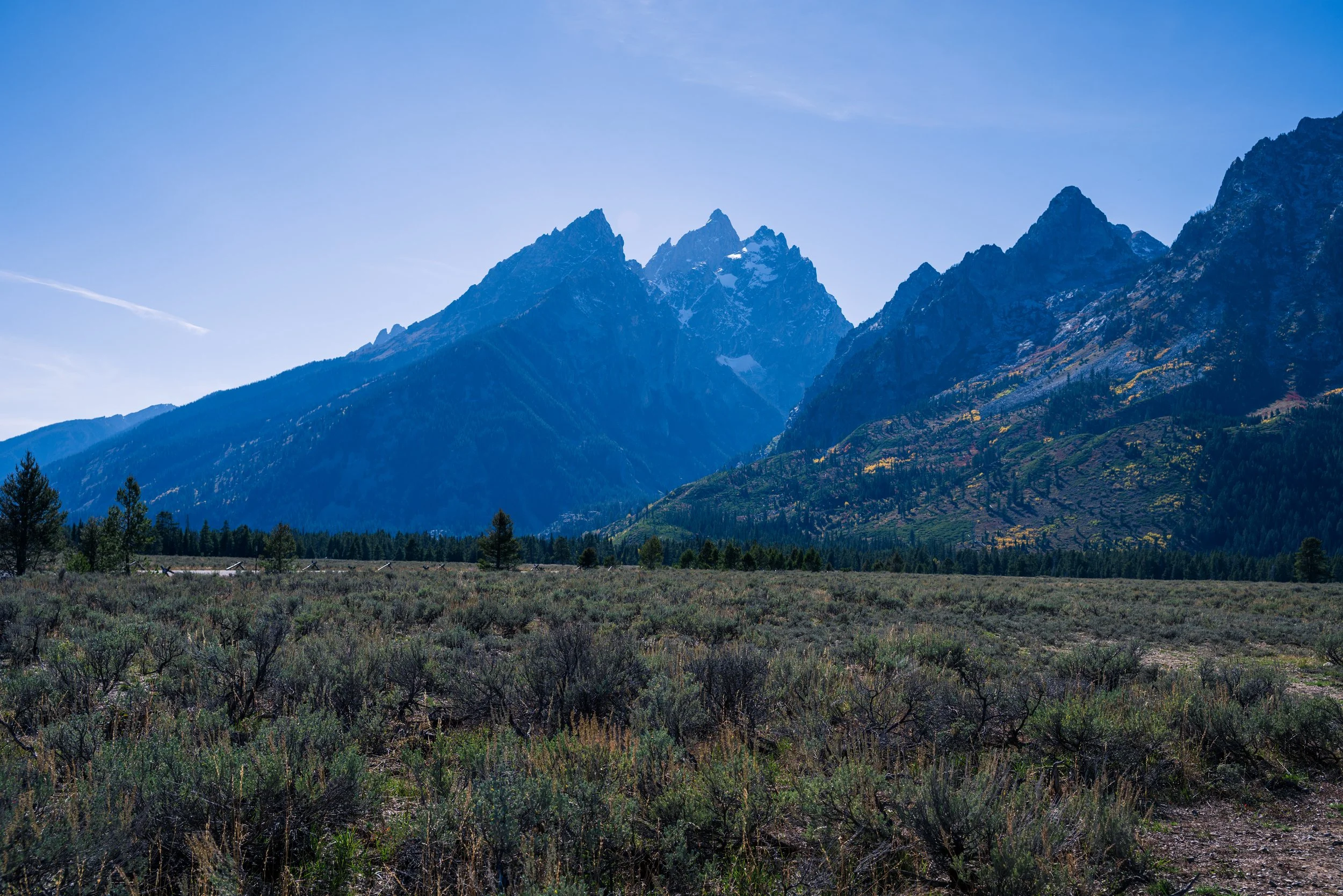 DT24-Teton (23 of 40).jpg
