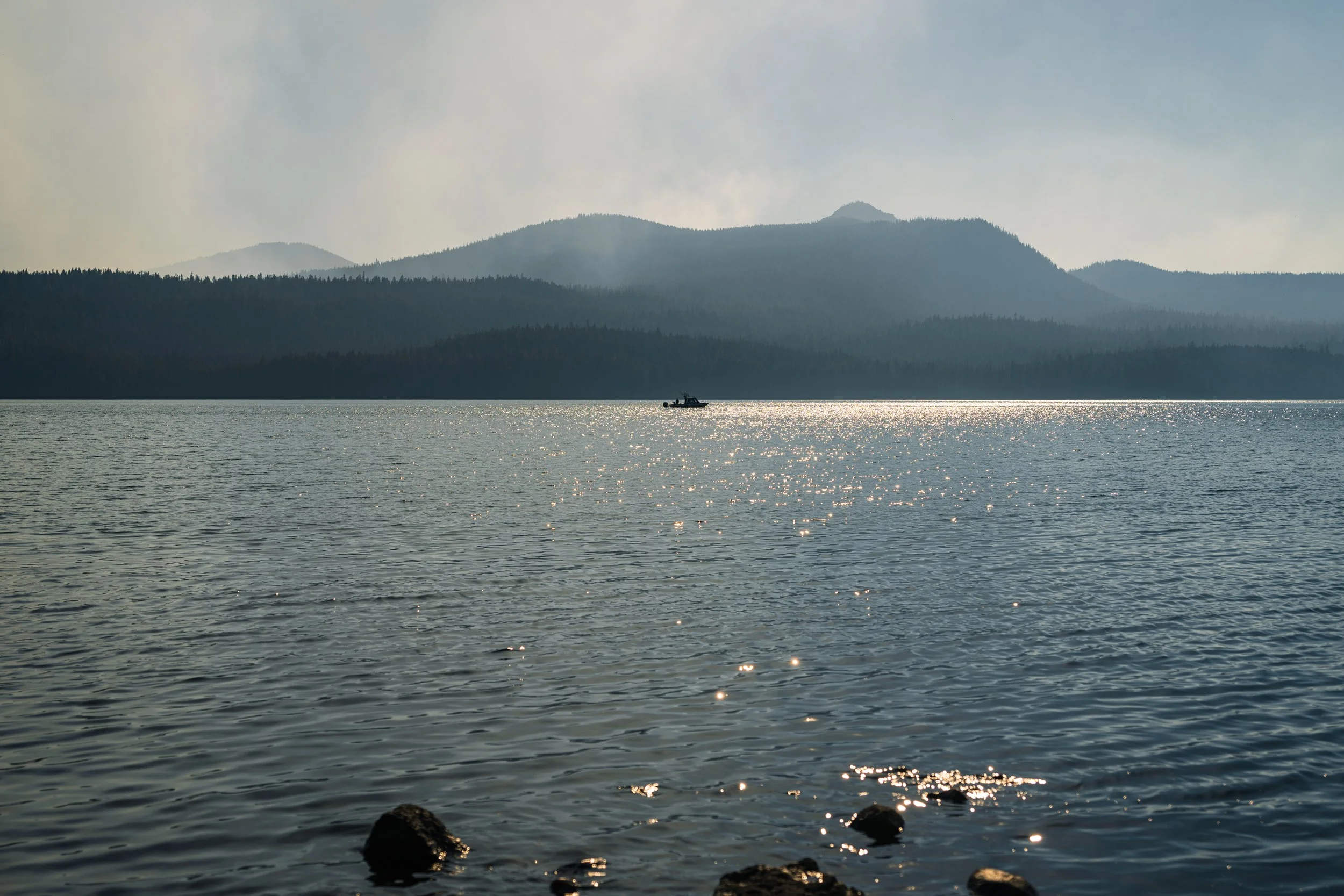 DT24-WestCoastp1 (3 of 101).jpg