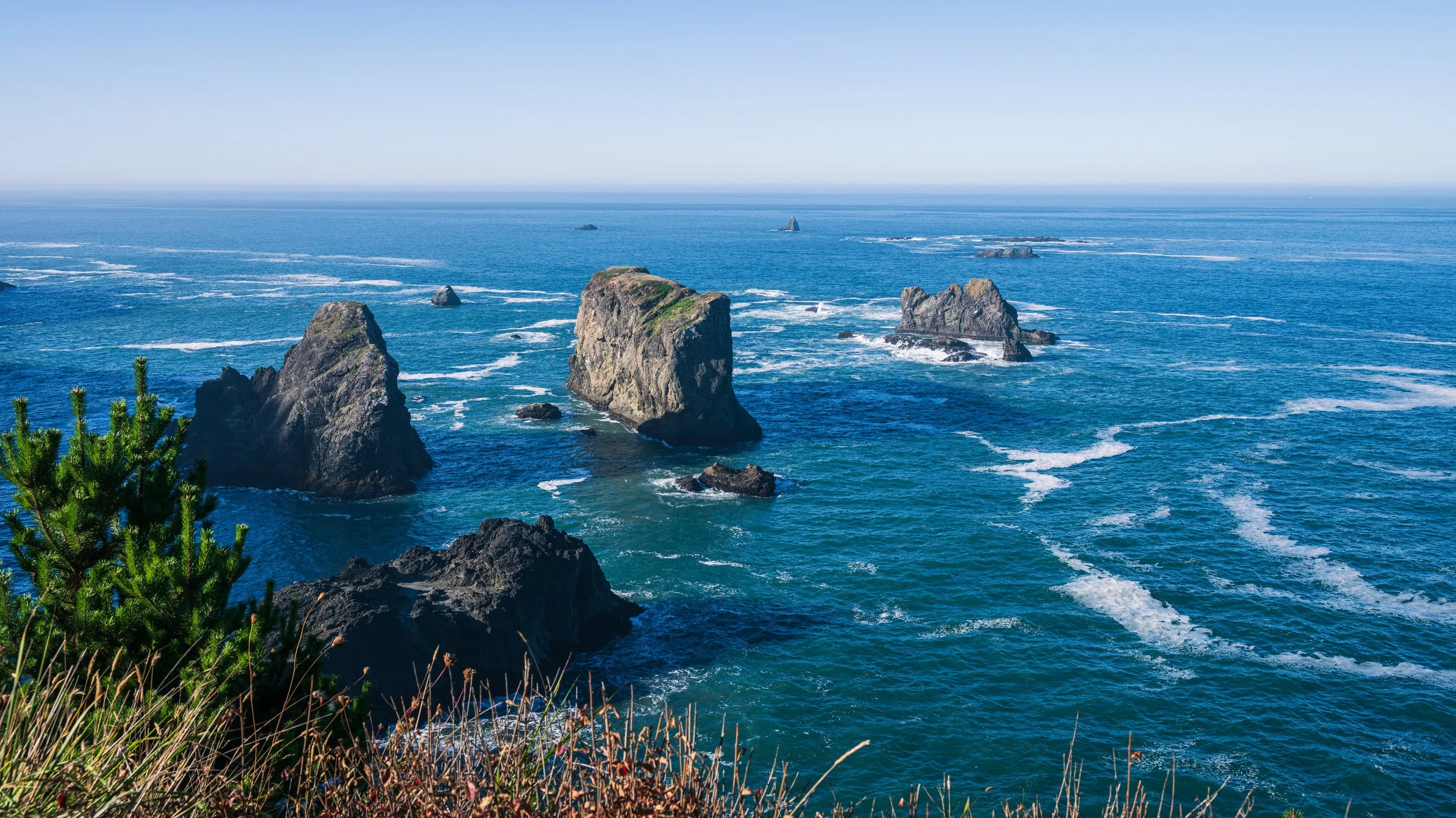 DT24-WestCoastp1 (99 of 101).jpg