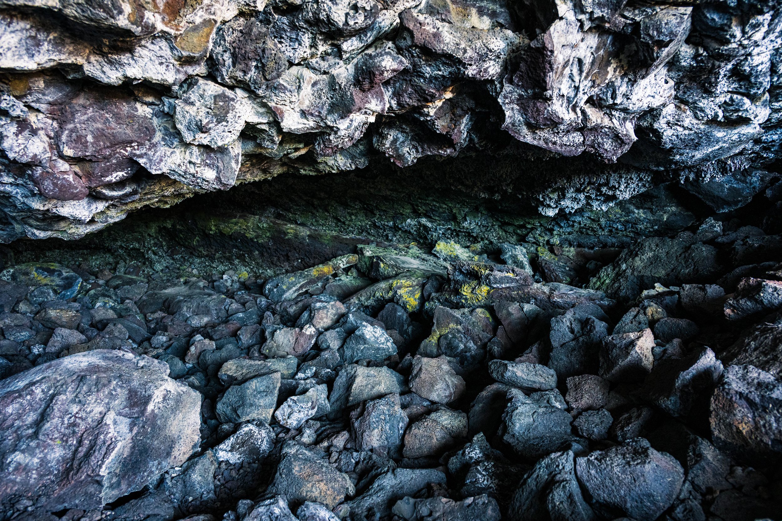 DT24-COTM (11 of 31).jpg