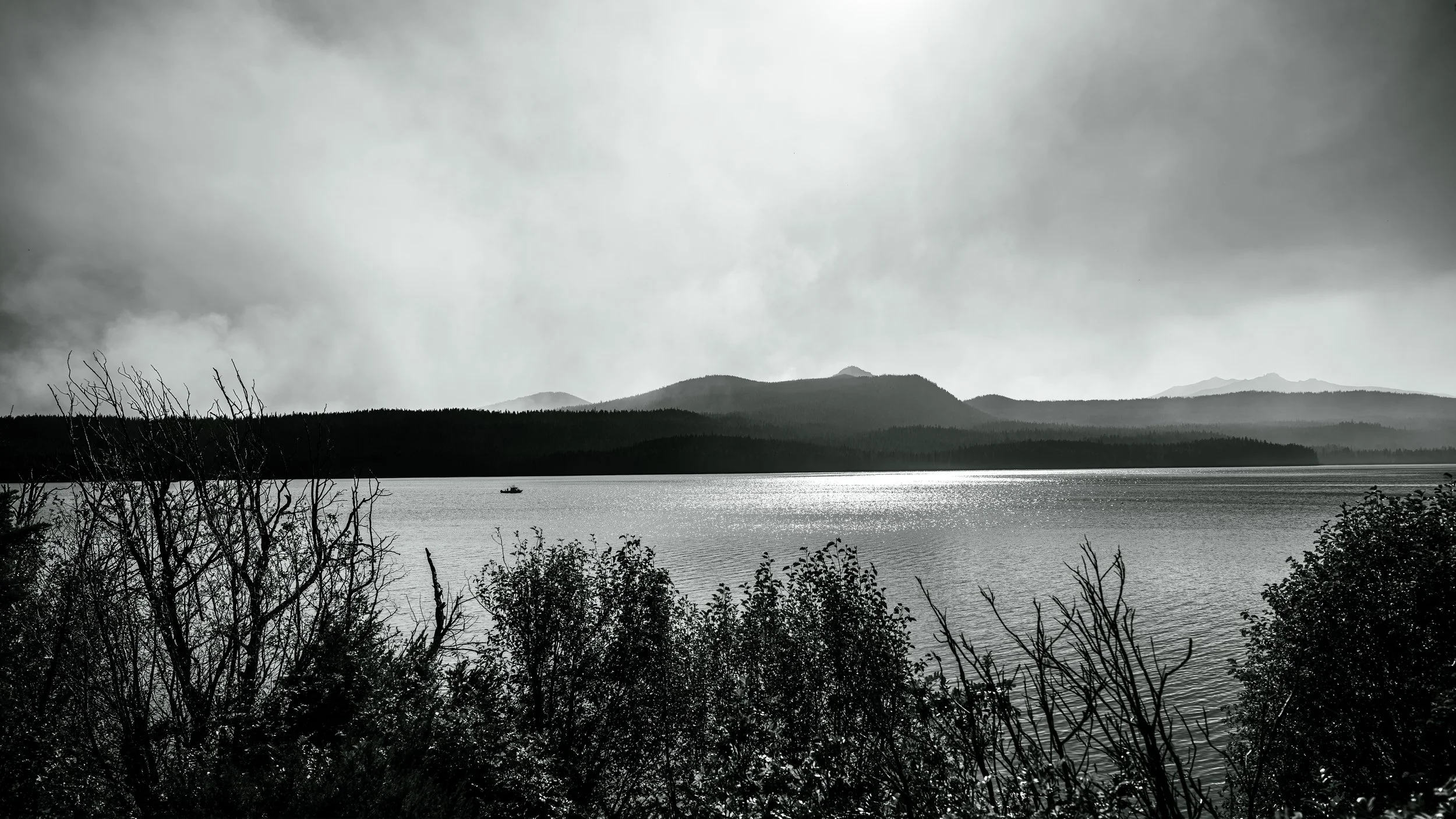 DT24-WestCoastp1 (1 of 101).jpg