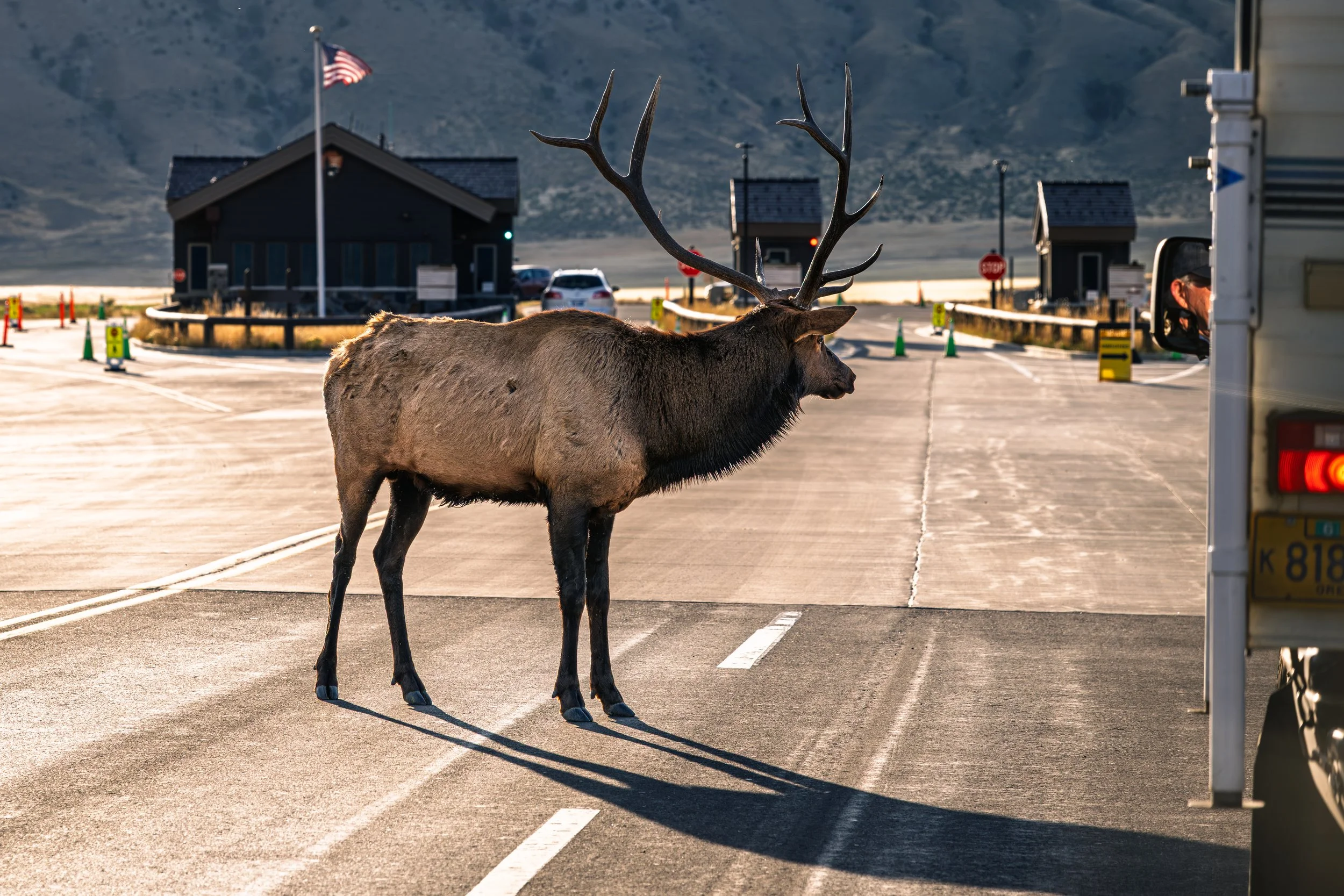 Park Pass Please