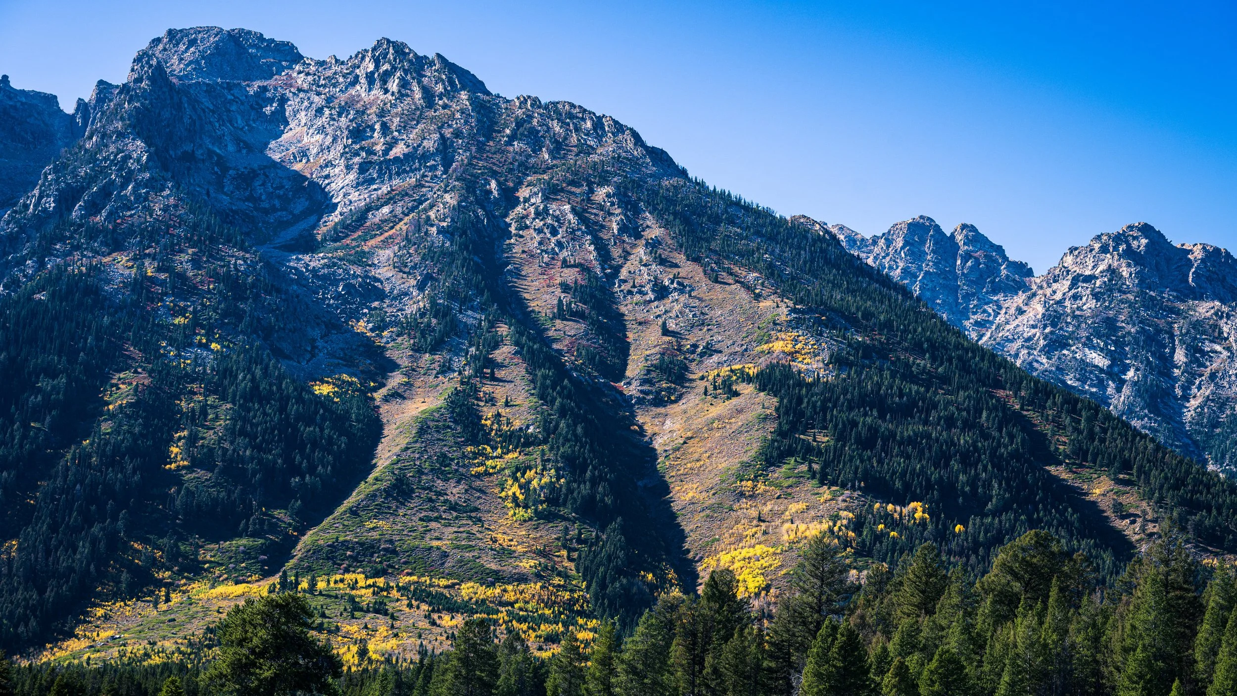DT24-Teton (17 of 40).jpg