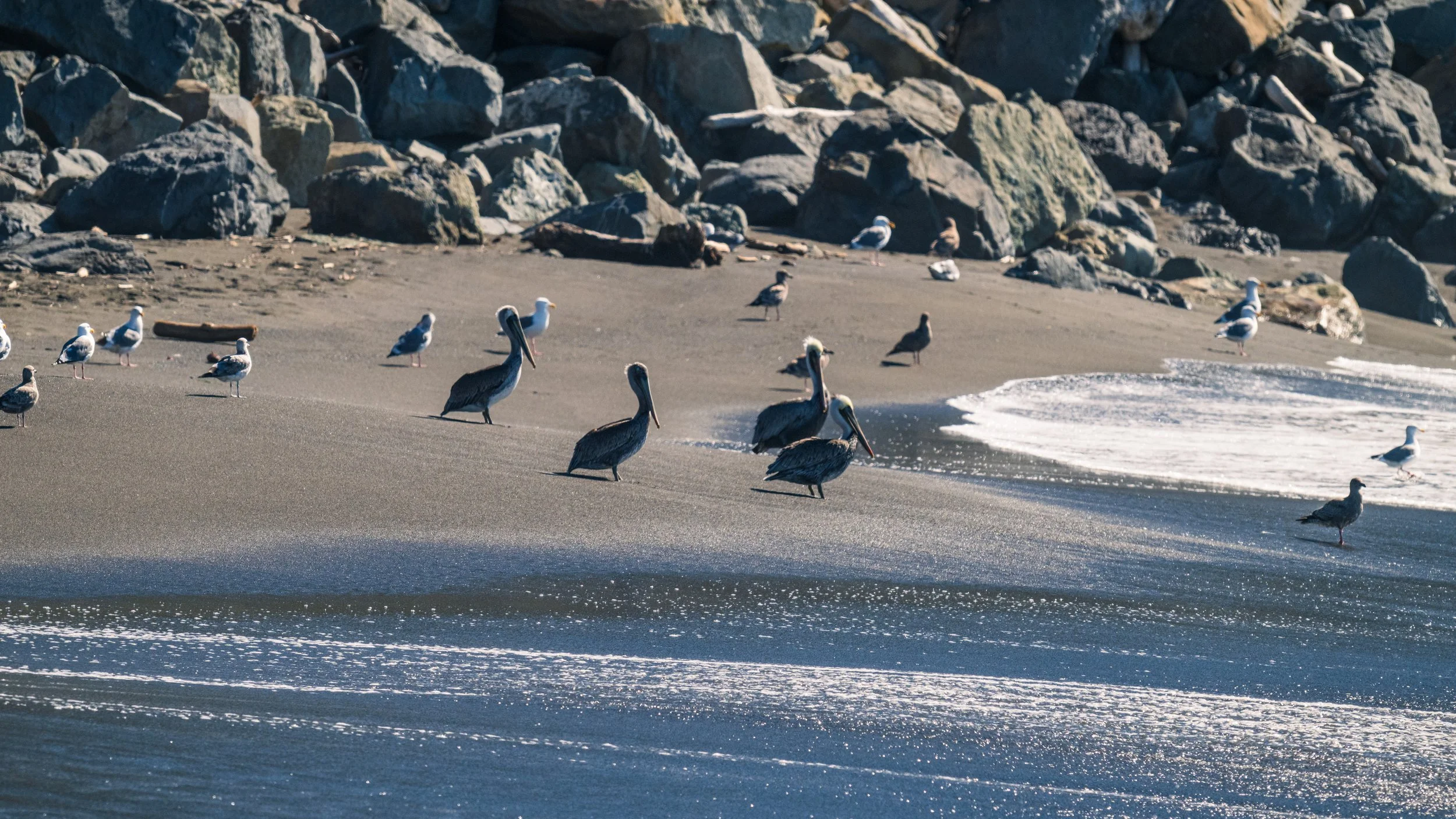 DT24-WestCoastp1 (34 of 101).jpg