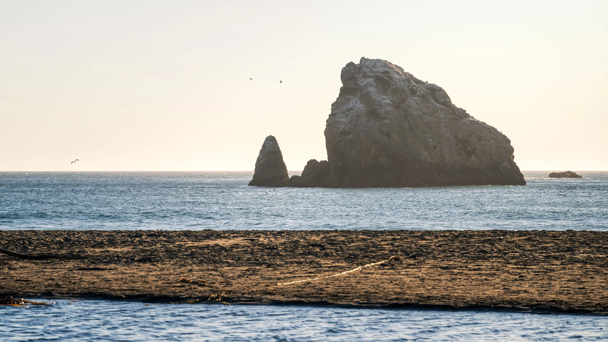 DT24-WestCoastp1 (61 of 101).jpg